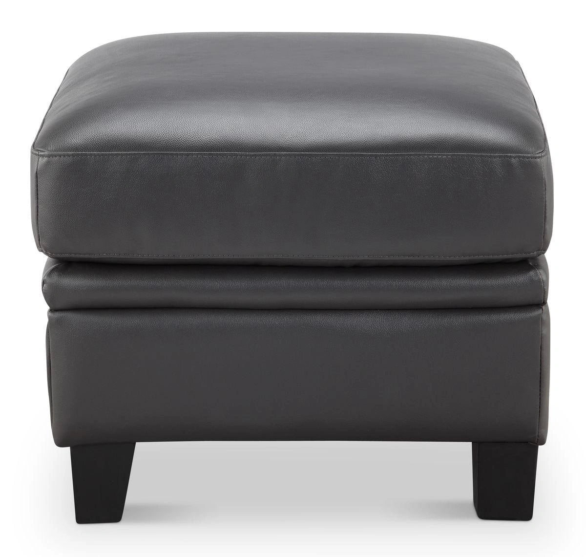 Leather Italia USA Cambria - Fletcher Ottoman in Charcoal