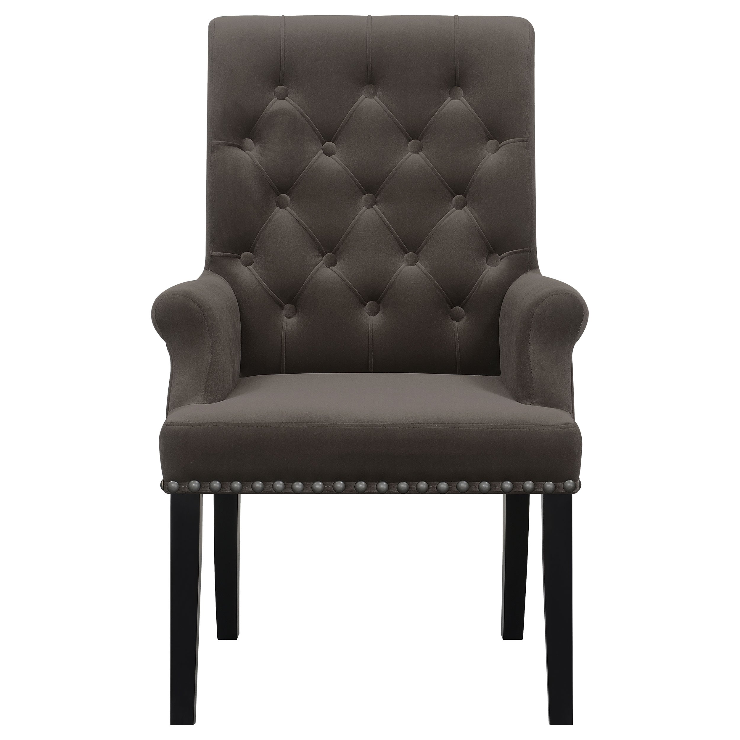 Alana Arm Chairs - Luxury Home Furniture (MI)