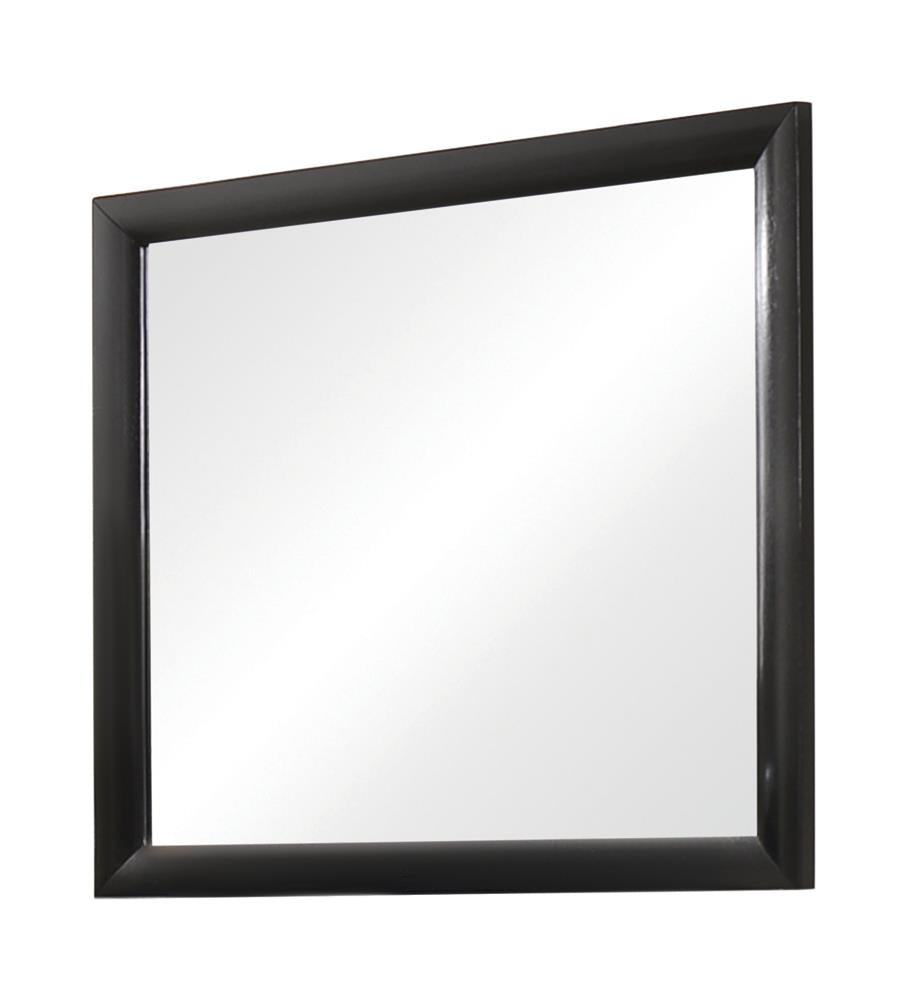 Briana Rectangle Dresser Mirror Black - Luxury Home Furniture (MI)