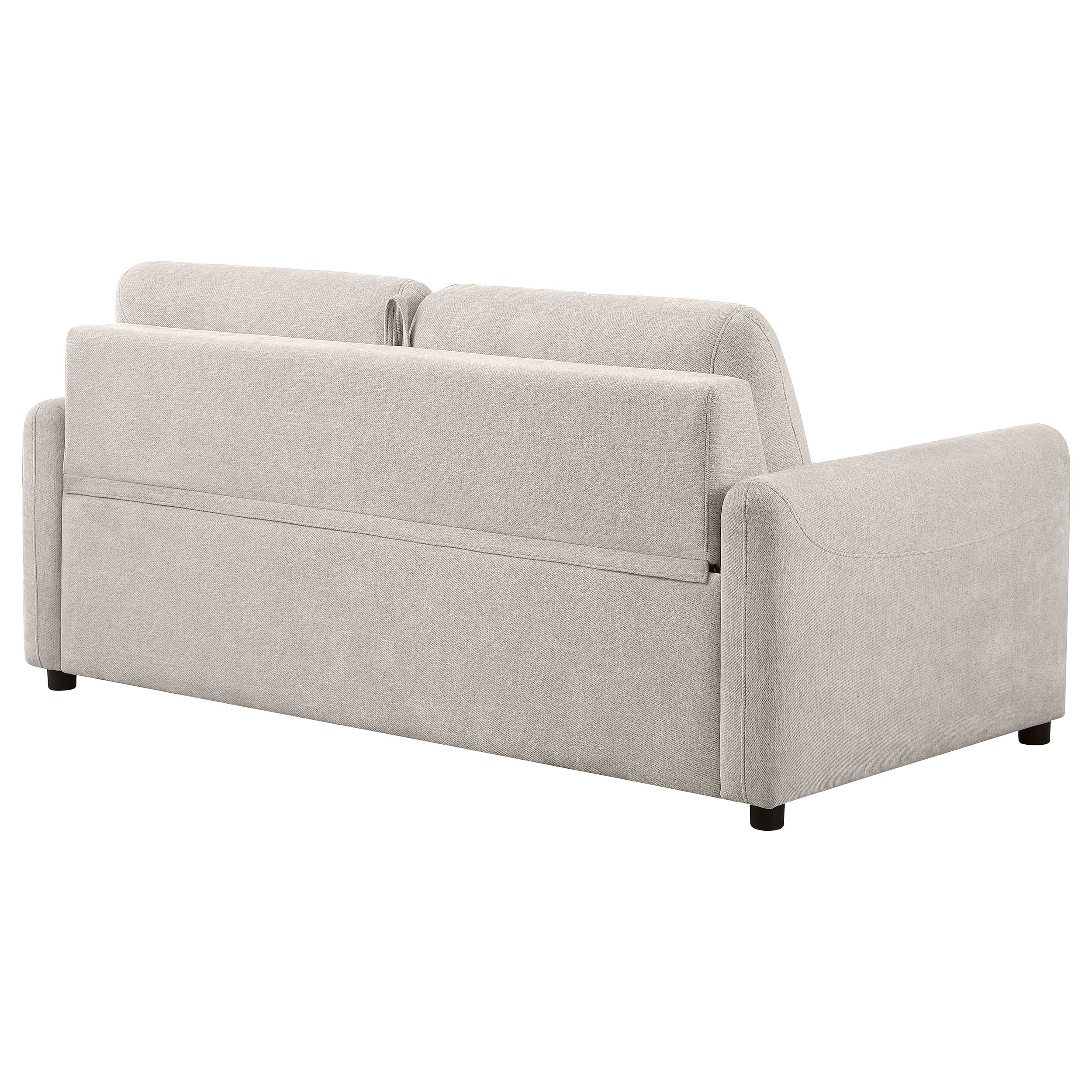 Rylie Sleeper Sofa - Luxury Home Furniture (MI)