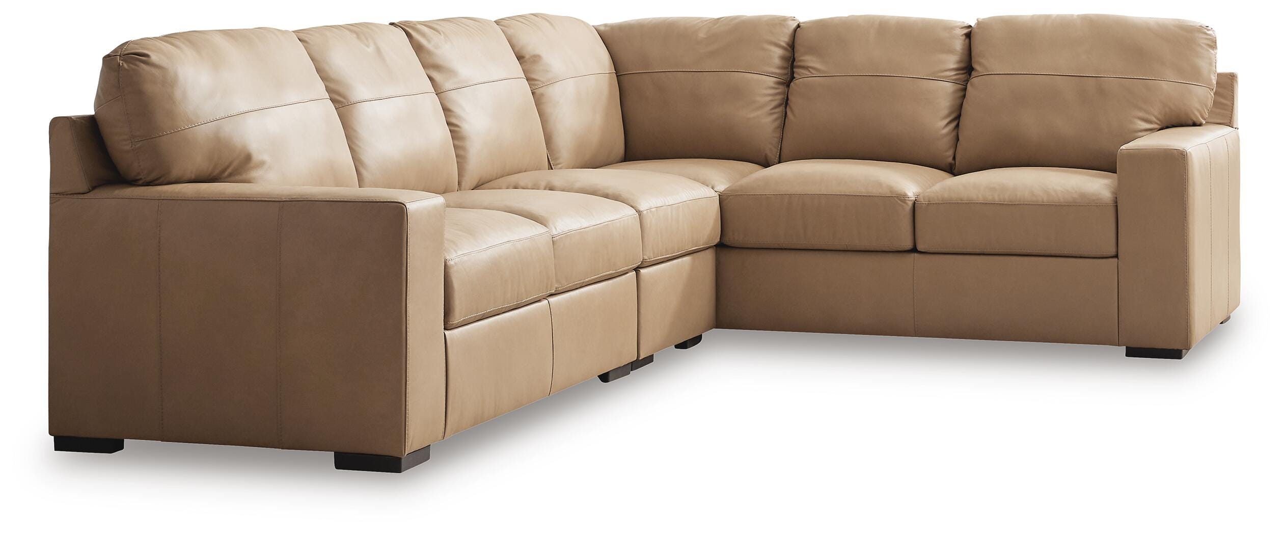 Bandon Sectional - Luxury Home Furniture (MI)
