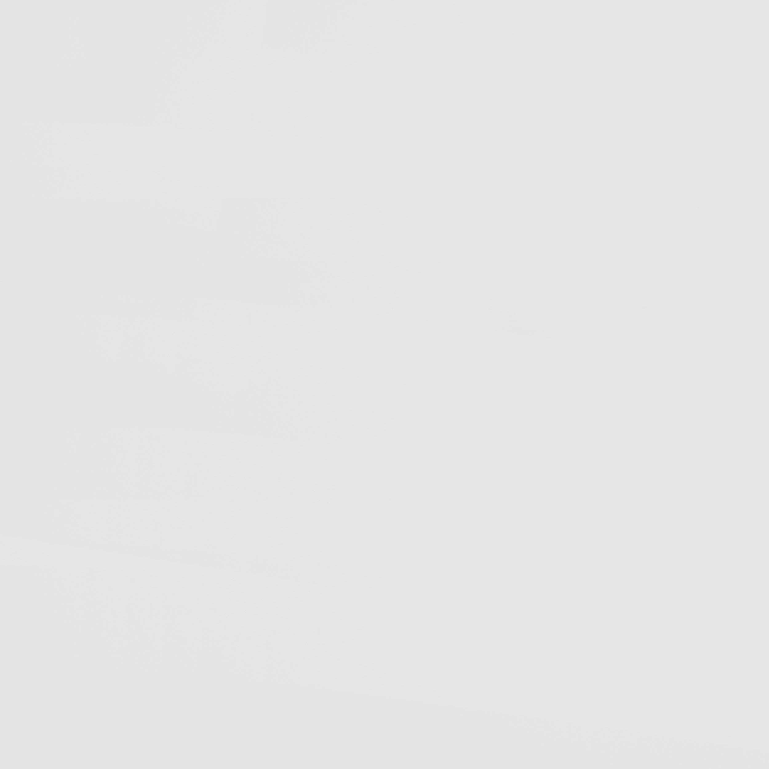 Wyatt Bunk Bed - Luxury Home Furniture (MI)