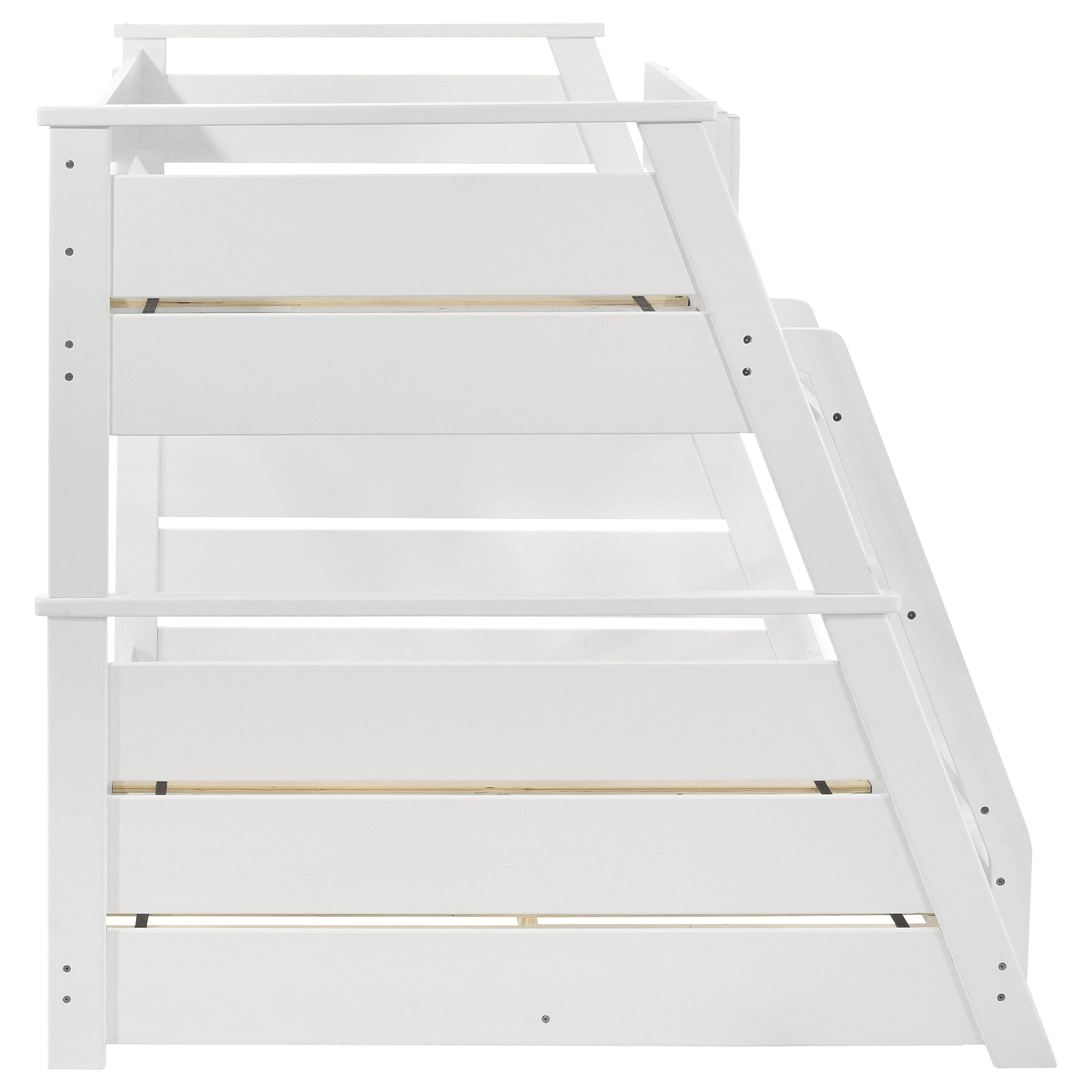 Holden Bunk Bed - Luxury Home Furniture (MI)