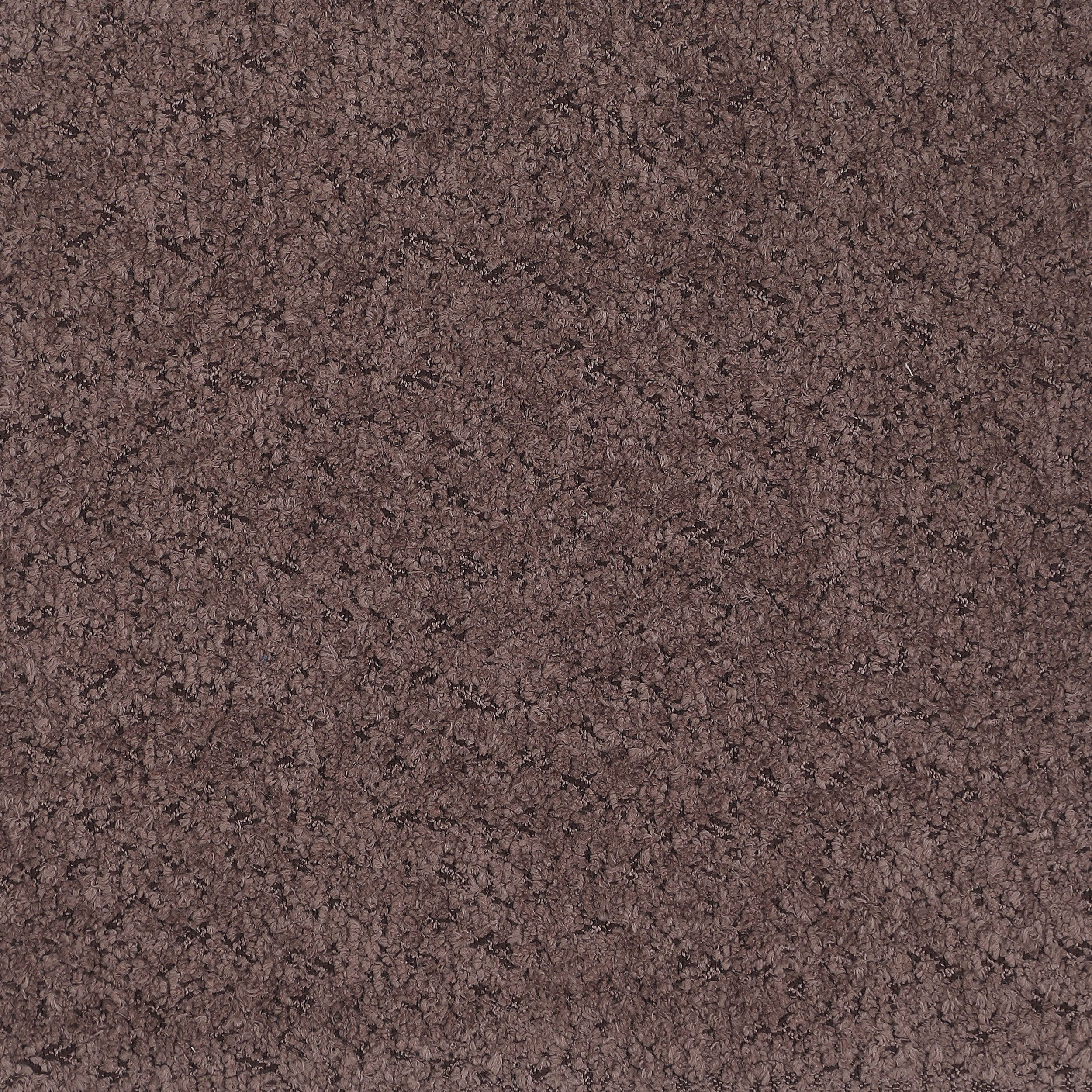 Ellorie Loveseat - Luxury Home Furniture (MI)
