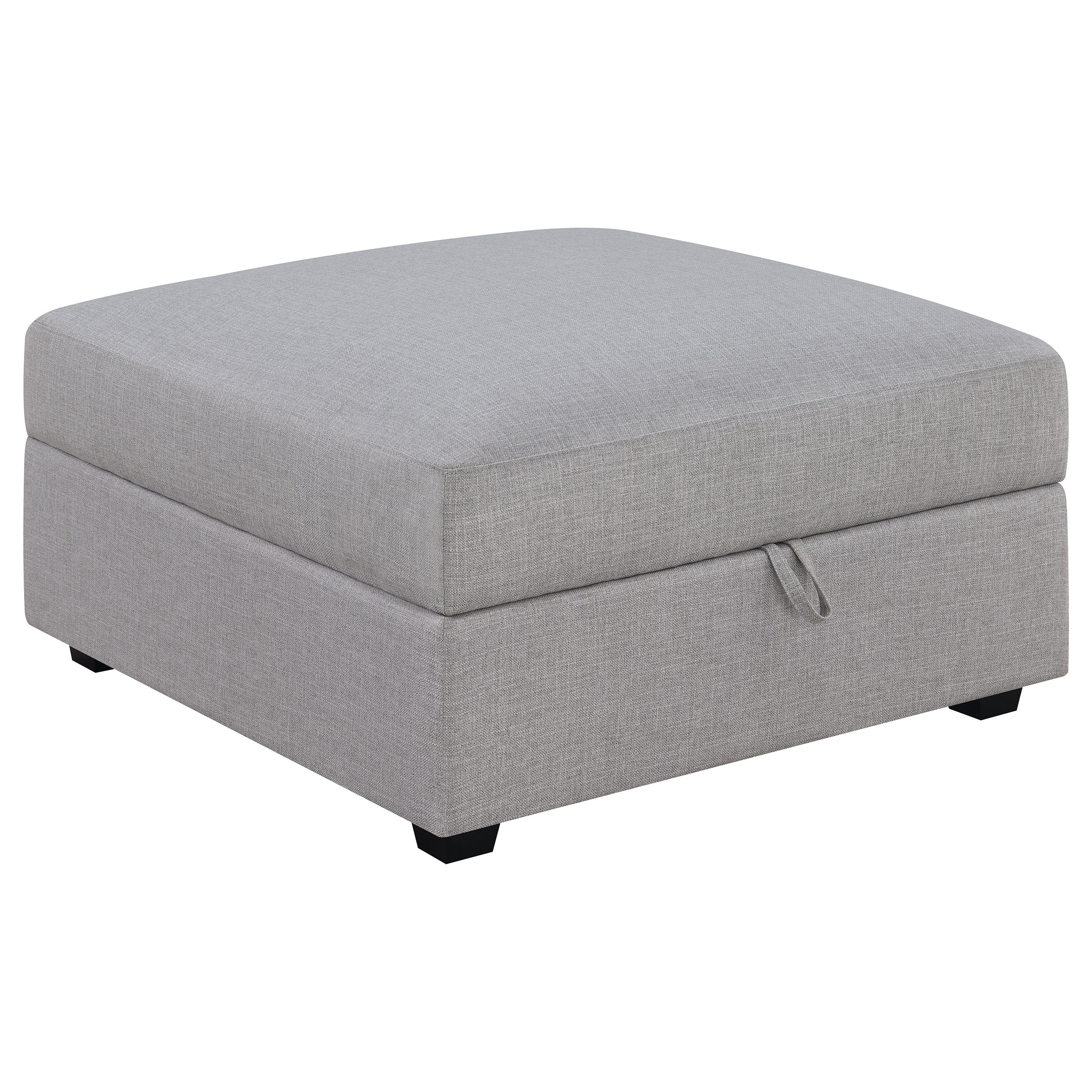 Cambria Storage Ottoman - Luxury Home Furniture (MI)