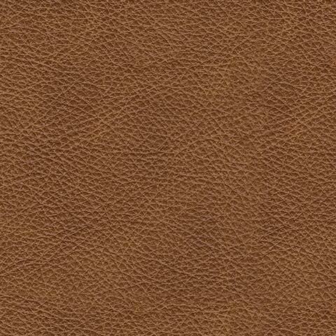 Carianna Loveseat - Luxury Home Furniture (MI)