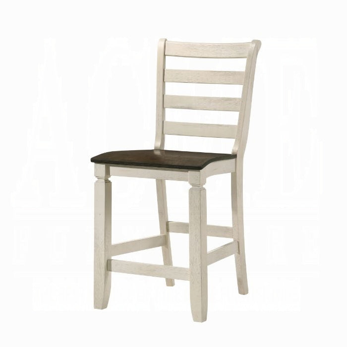 Tasnim Counter Height Chair Set-2 - Luxury Home Furniture (MI)