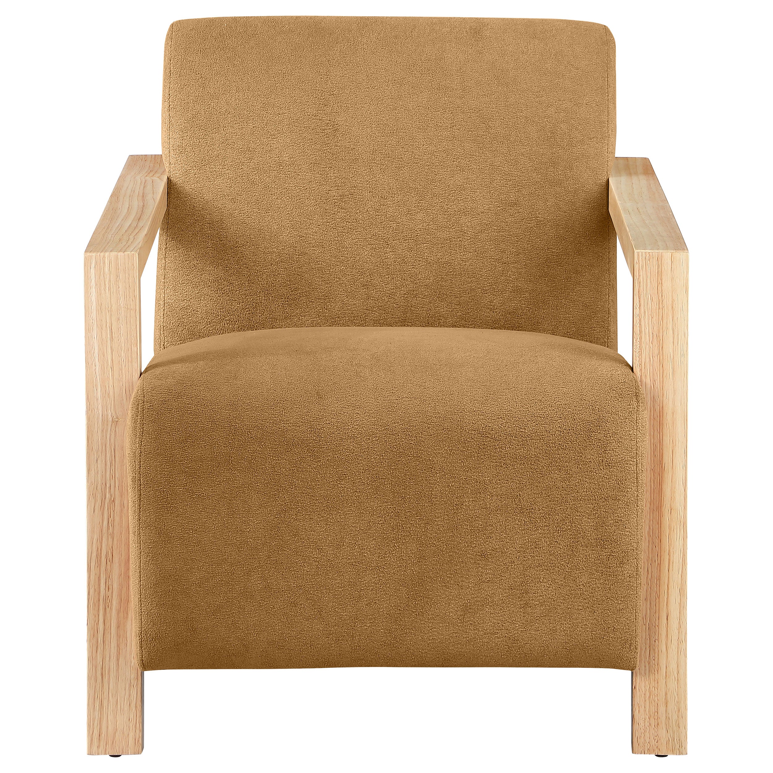 Diego Accent Chair - Luxury Home Furniture (MI)
