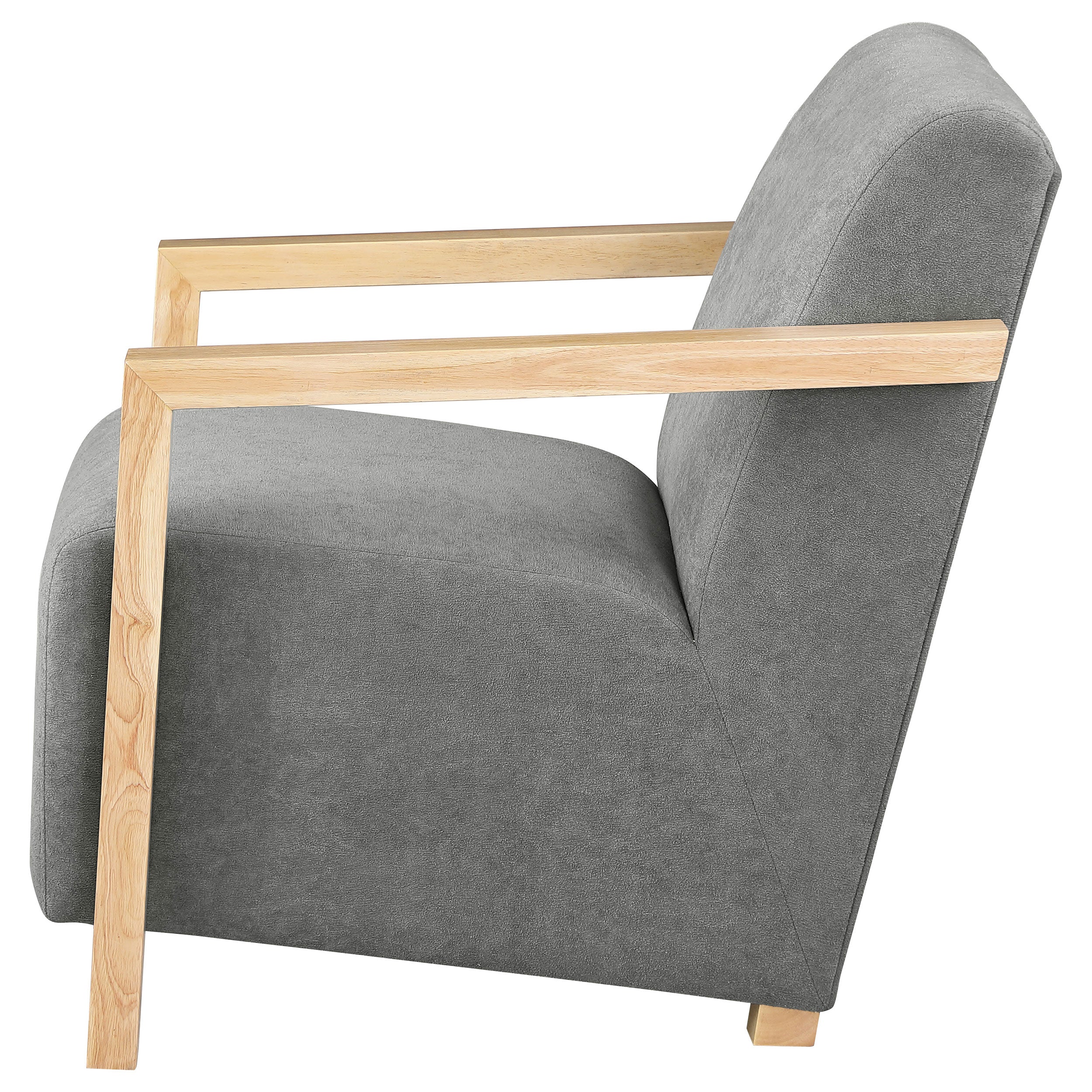 Diego Accent Chair - Luxury Home Furniture (MI)
