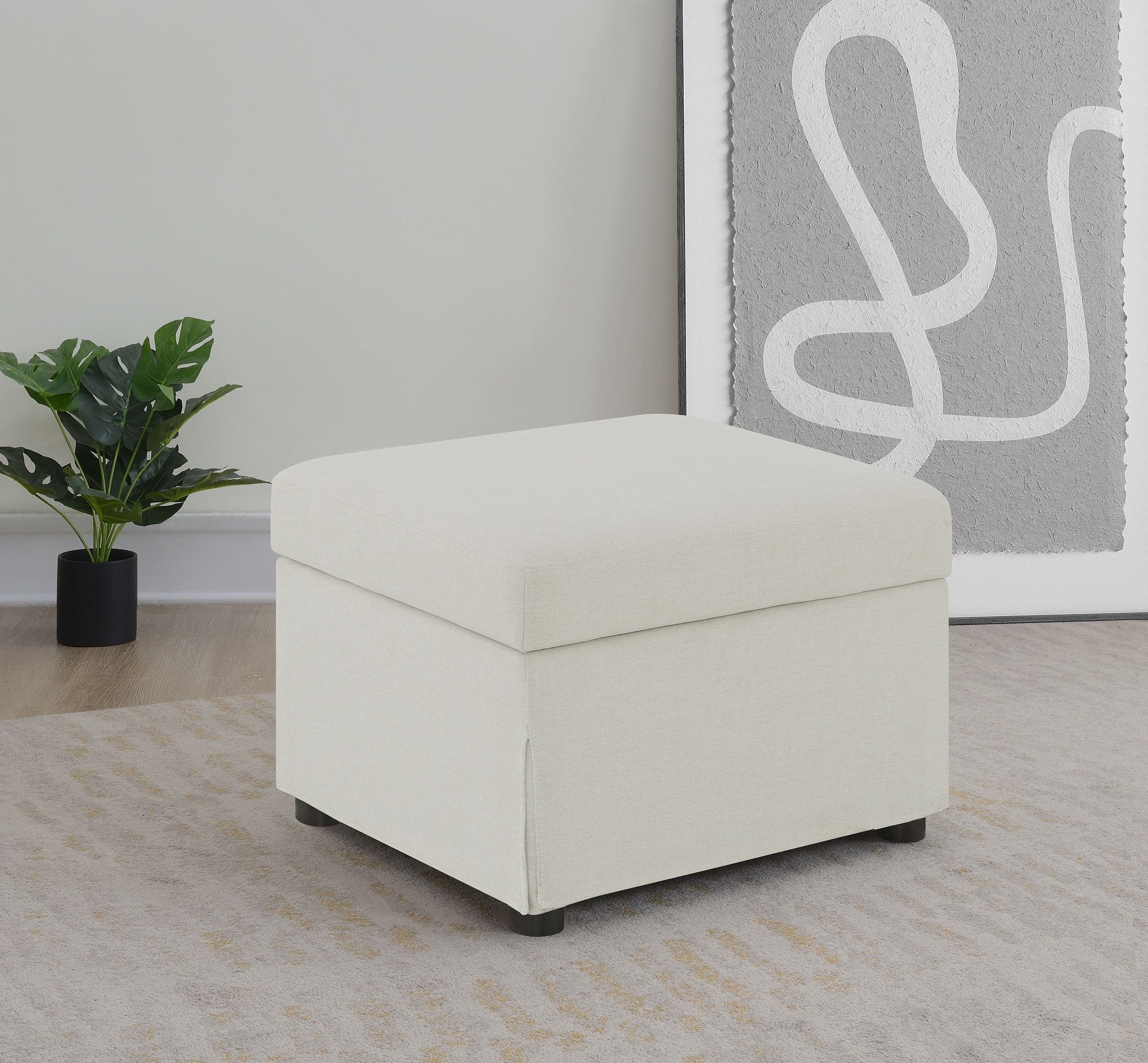 Winter Storage Ottoman - Luxury Home Furniture (MI)