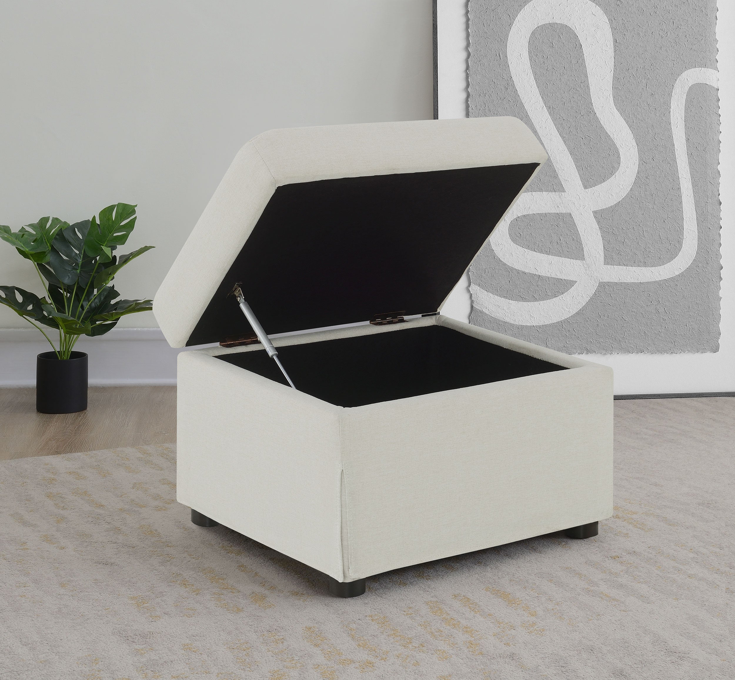 Winter Storage Ottoman - Luxury Home Furniture (MI)