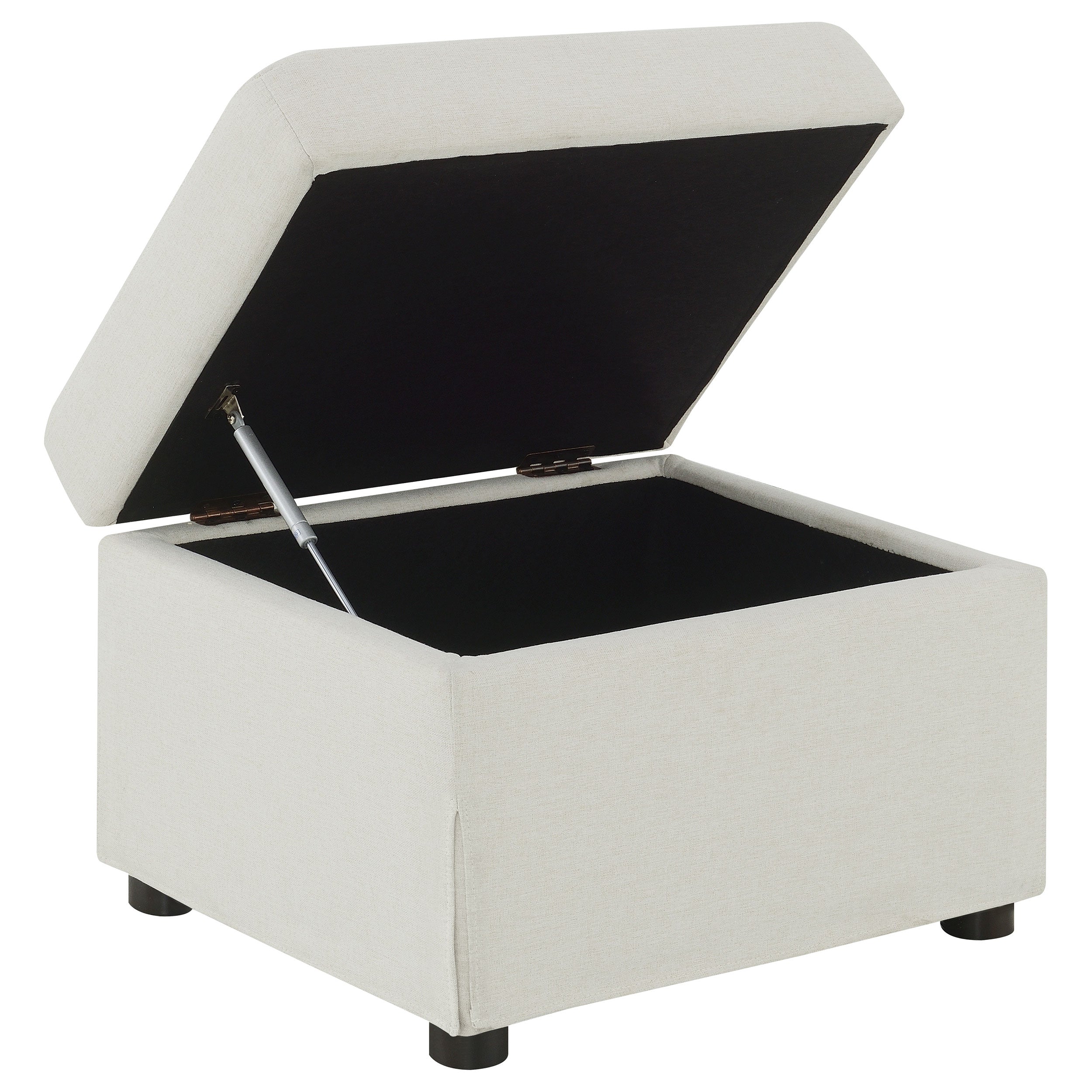 Winter Storage Ottoman - Luxury Home Furniture (MI)