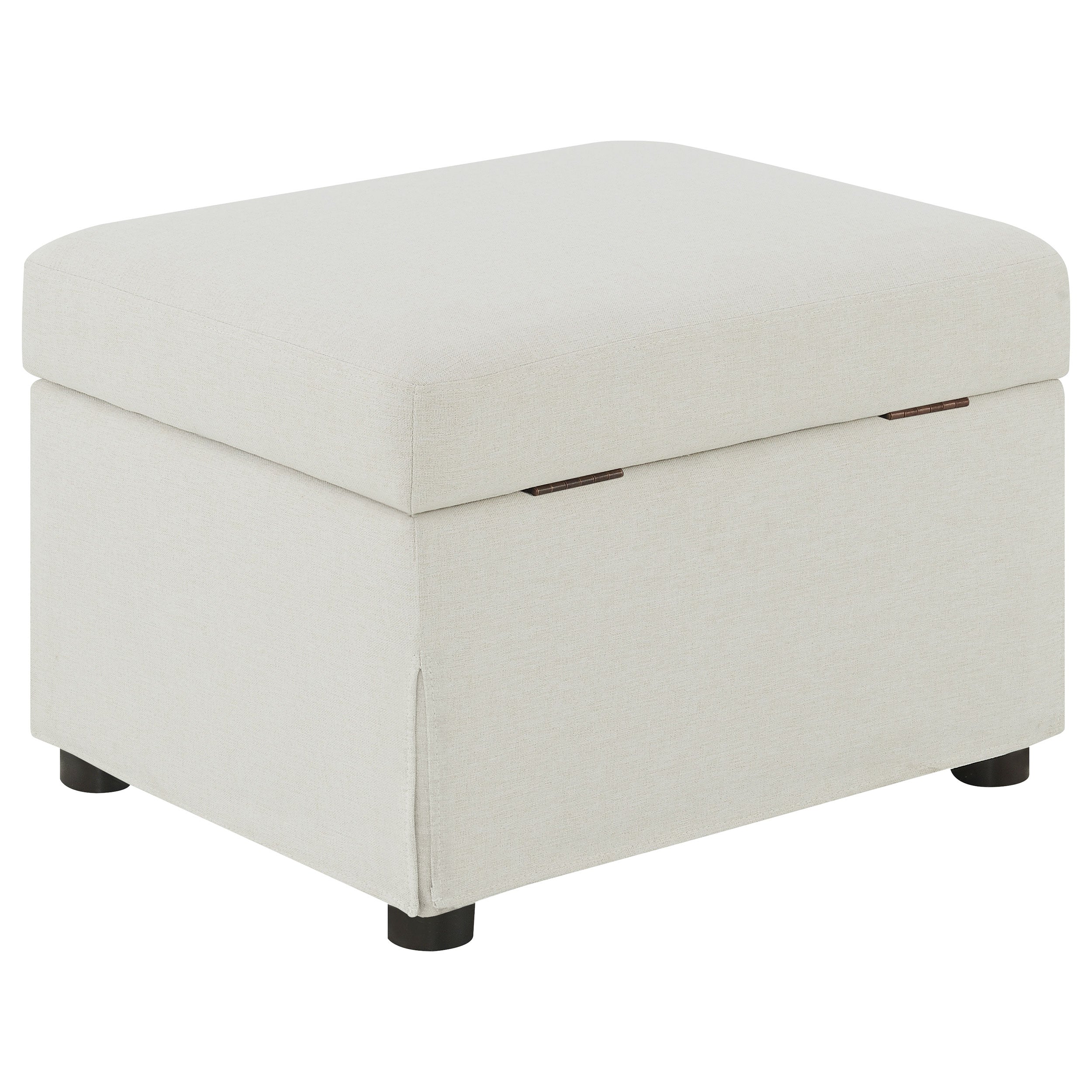 Winter Storage Ottoman - Luxury Home Furniture (MI)