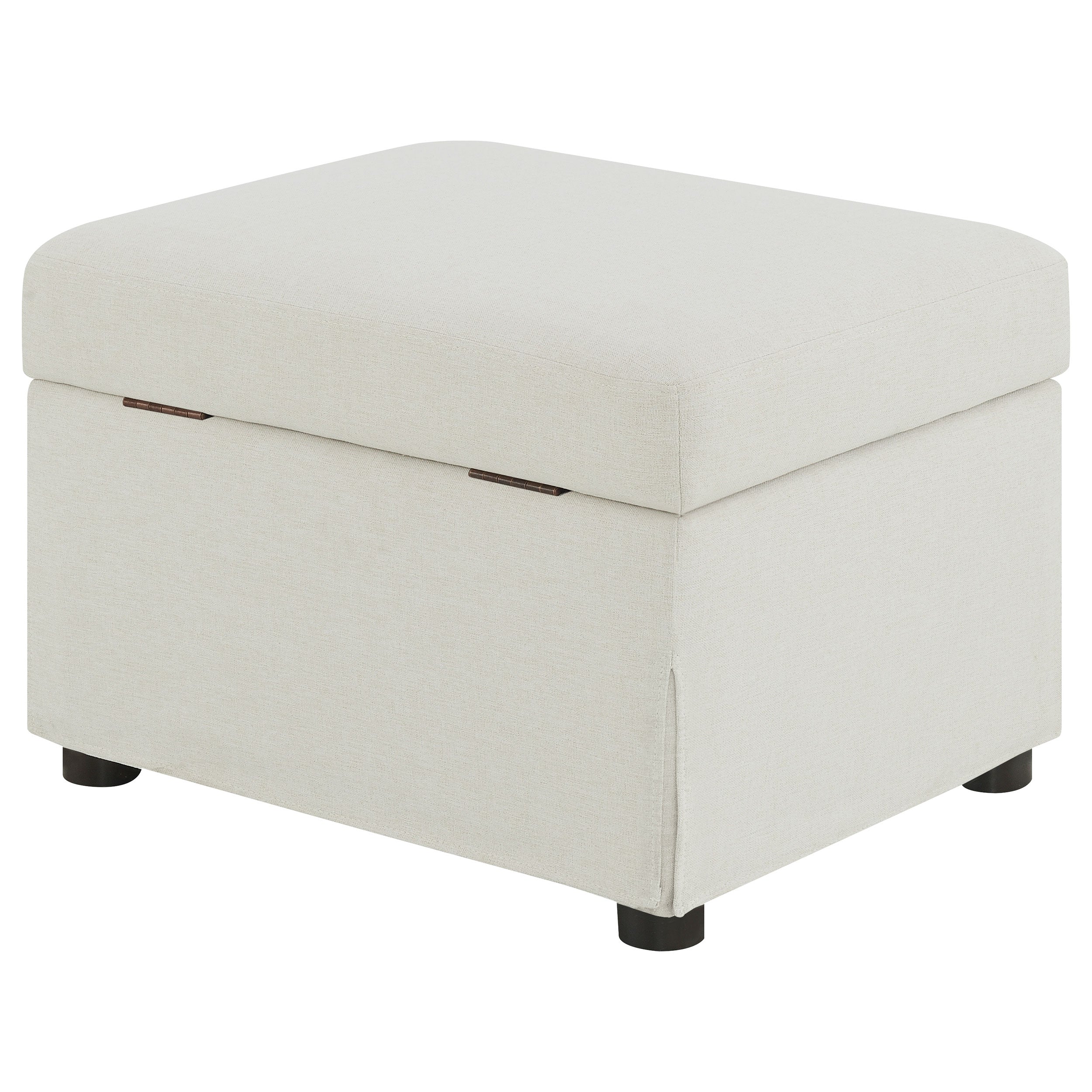 Winter Storage Ottoman - Luxury Home Furniture (MI)