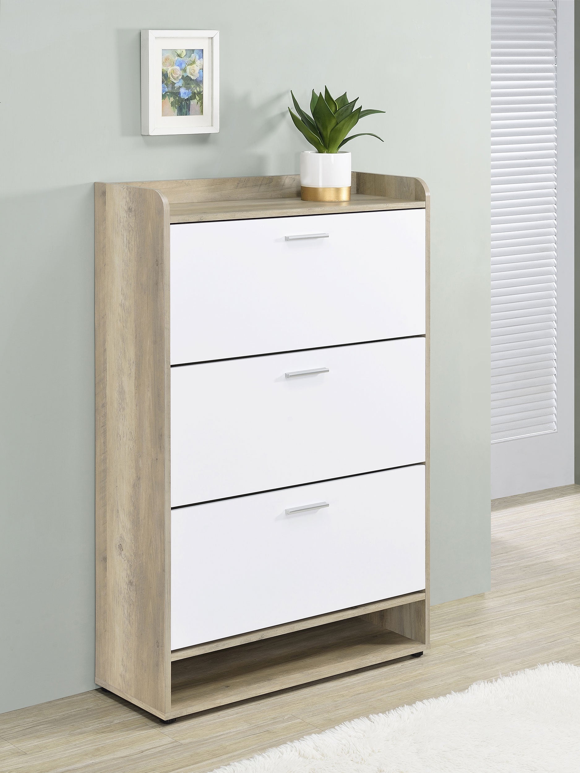 Denia Shoe Cabinet - Luxury Home Furniture (MI)