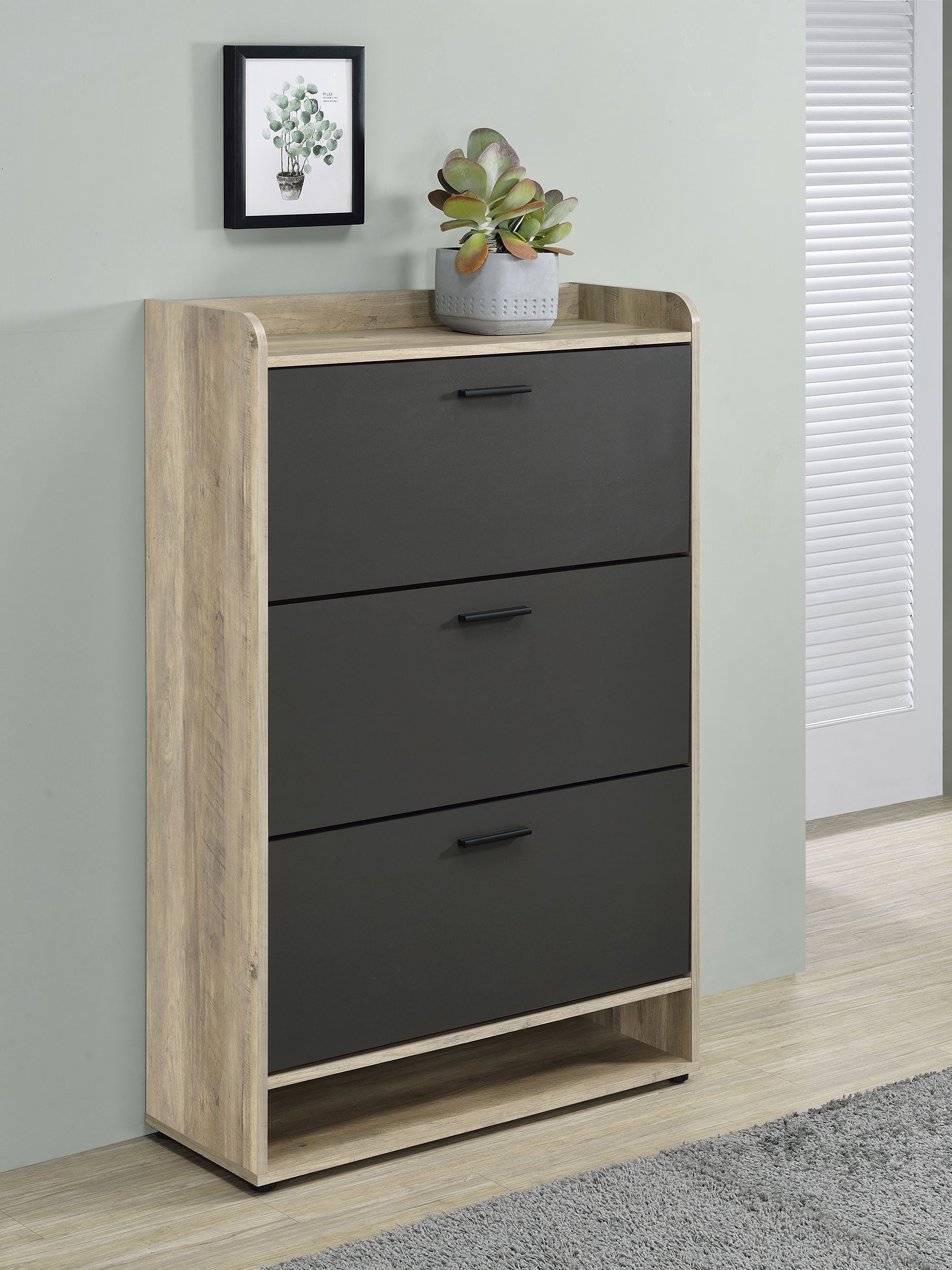 Denia Shoe Cabinet - Luxury Home Furniture (MI)