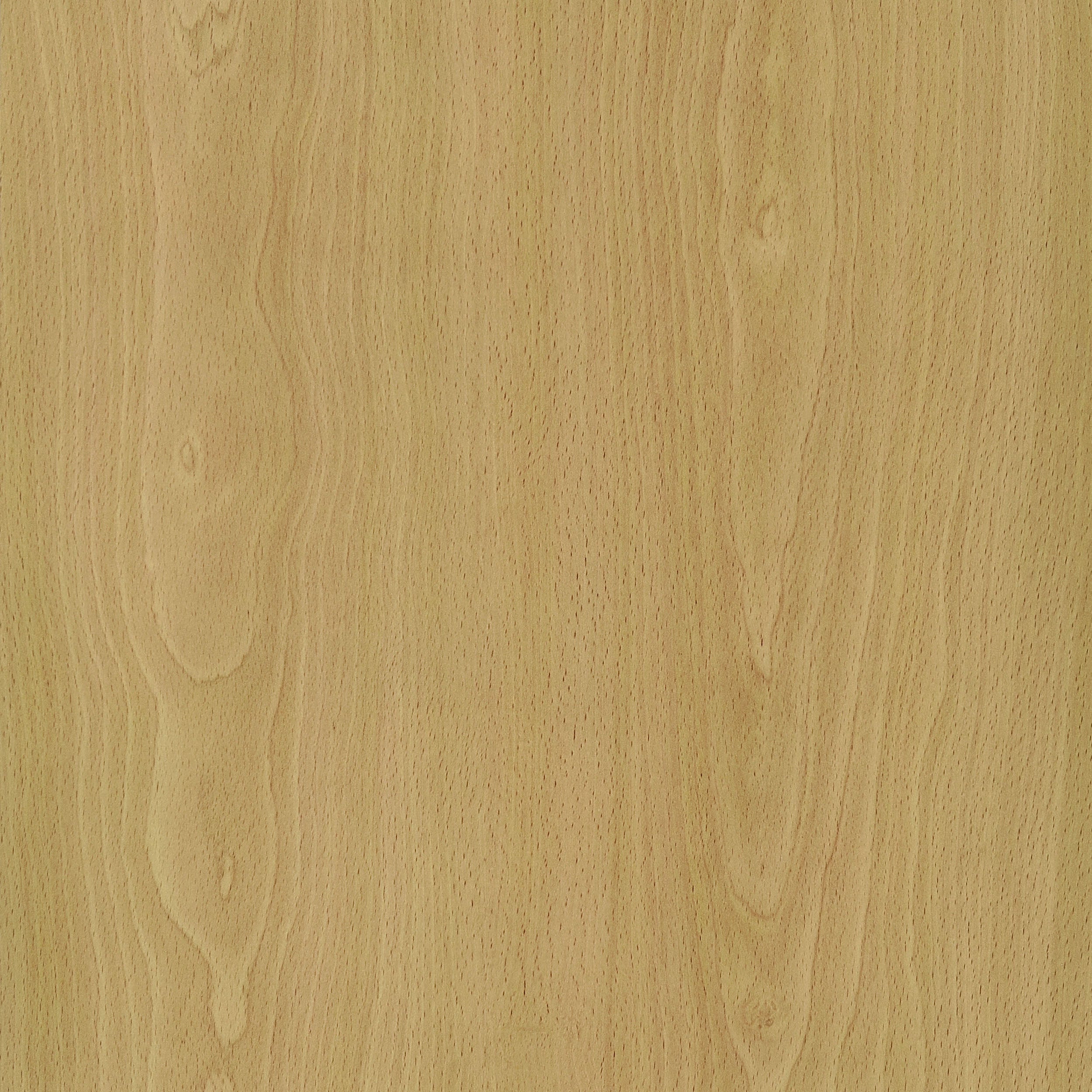 Edwards Four-Panel Room Divider - Luxury Home Furniture (MI)