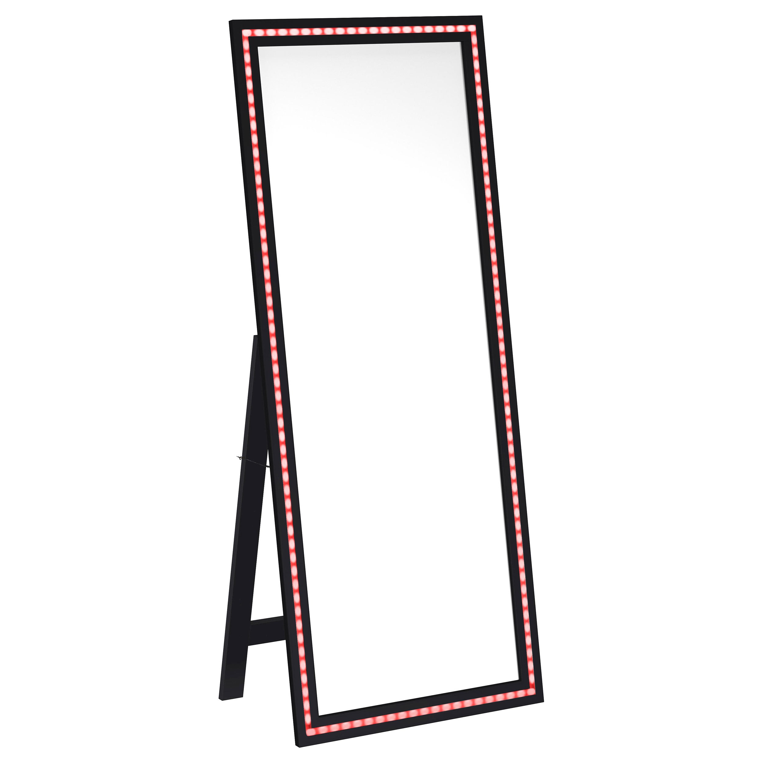 Windrose Standing Mirror - Luxury Home Furniture (MI)