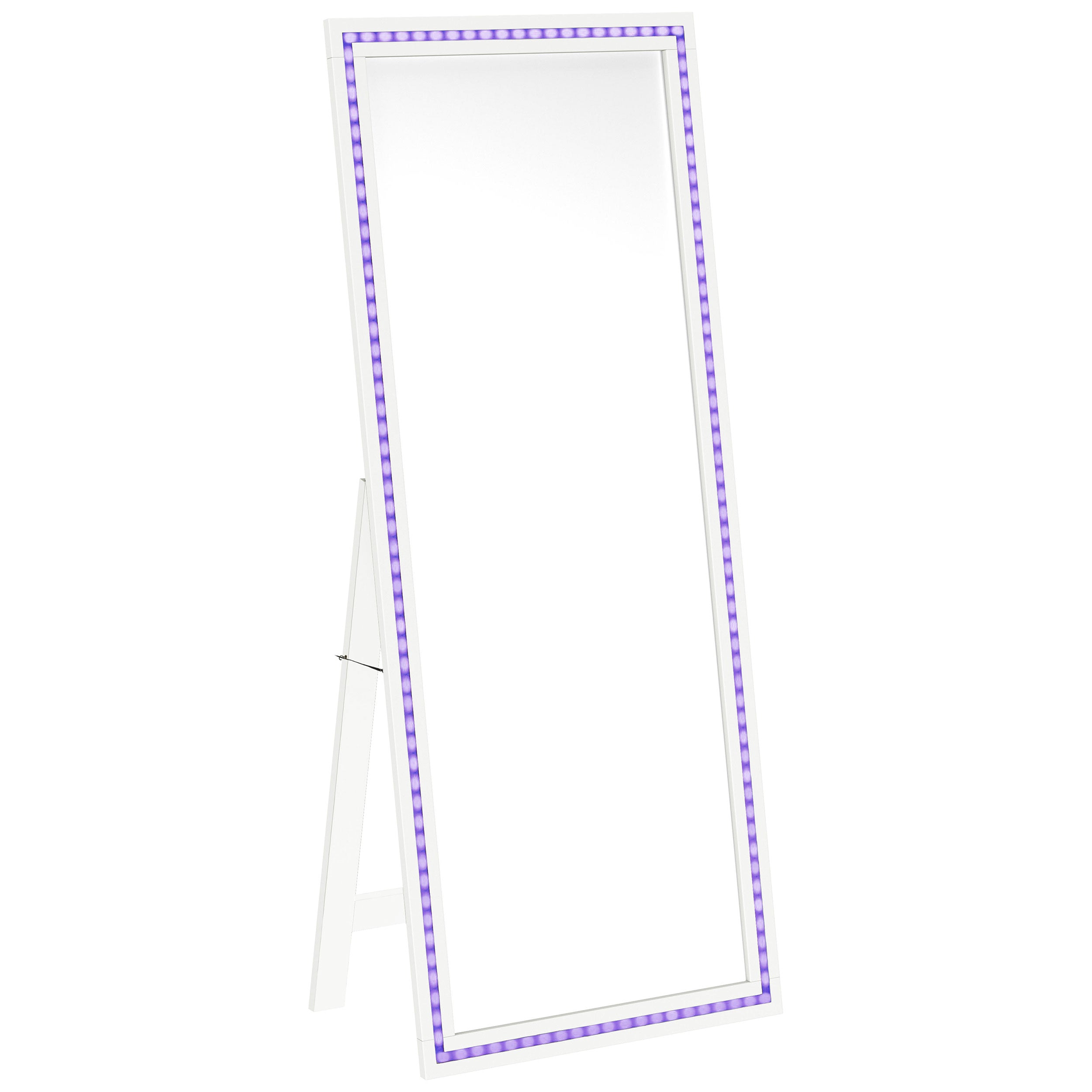 Windrose Standing Mirror - Luxury Home Furniture (MI)