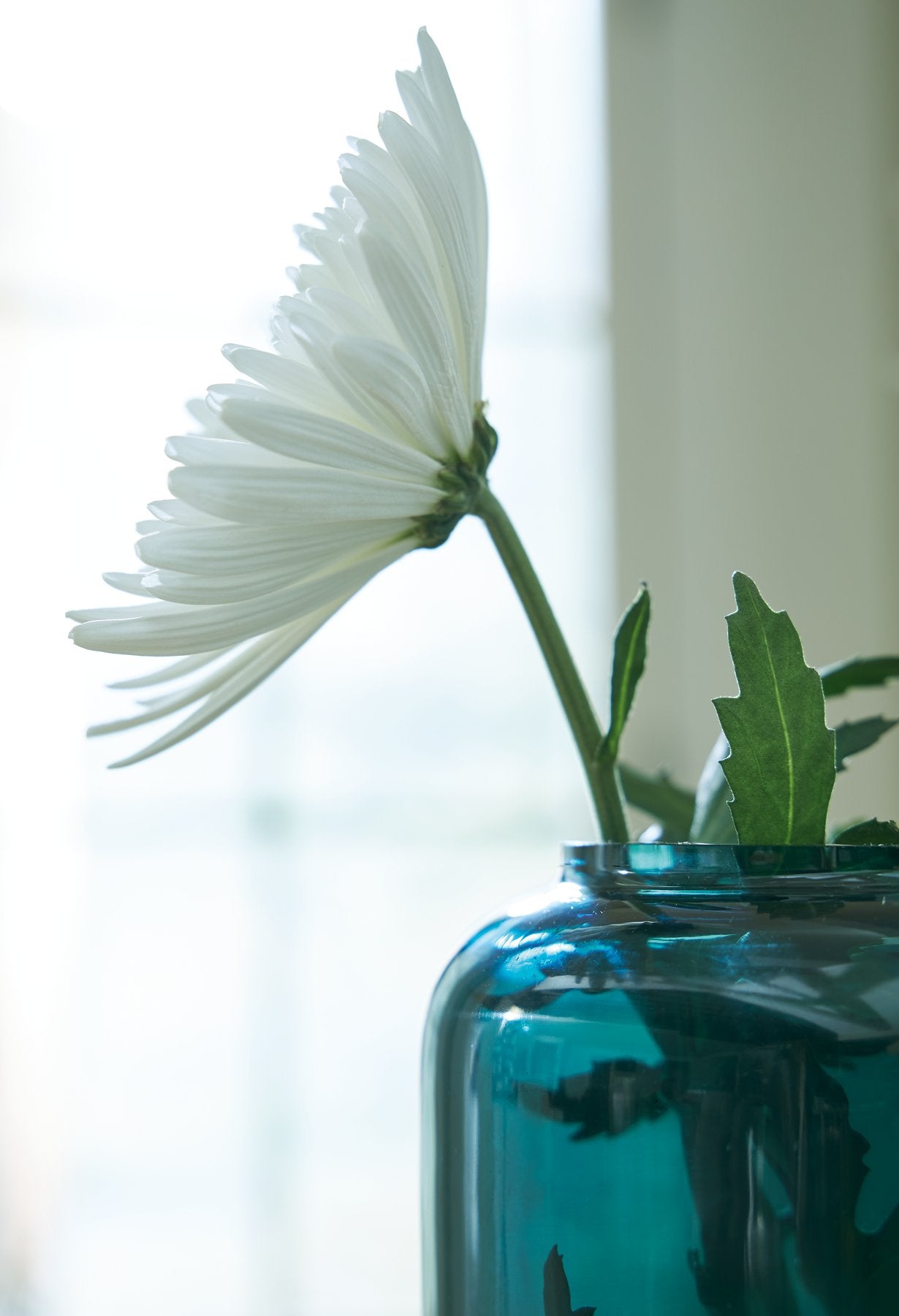 Inisland Vase - Luxury Home Furniture (MI)