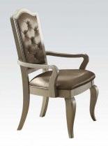 Acme Francesca Arm Chair in Silver/Champagne (Set of 2) 62083 - Luxury Home Furniture (MI)