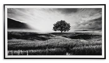 Deborland Wall Art - Luxury Home Furniture (MI)