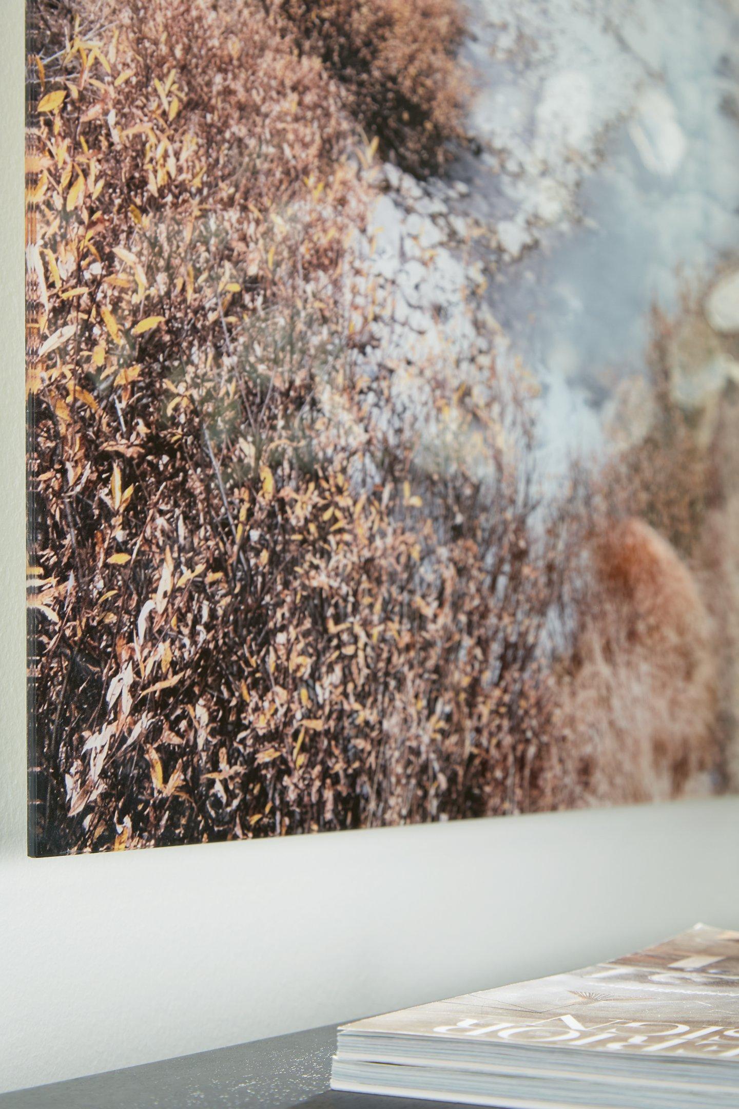 Darinby Wall Art - Luxury Home Furniture (MI)