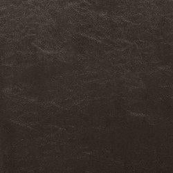 Kimonte Dining Chair - Luxury Home Furniture (MI)