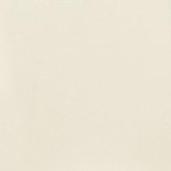 Kimonte Dining Chair - Luxury Home Furniture (MI)