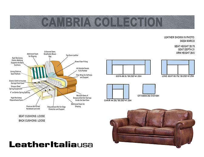 Leather Italia USA Cambria Arizona Chair in Marco