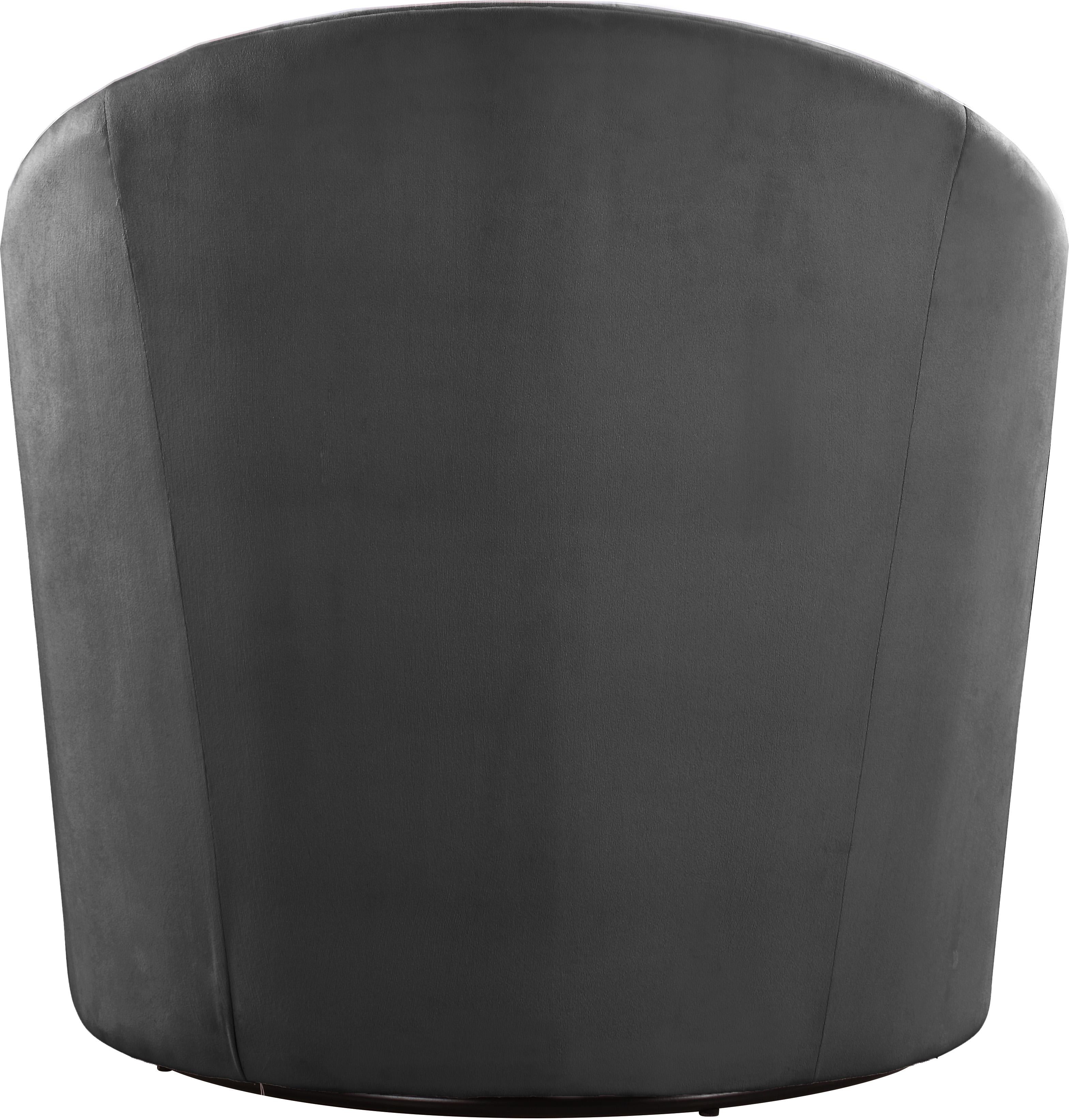 Alessio Grey Velvet Accent Chair - Luxury Home Furniture (MI)