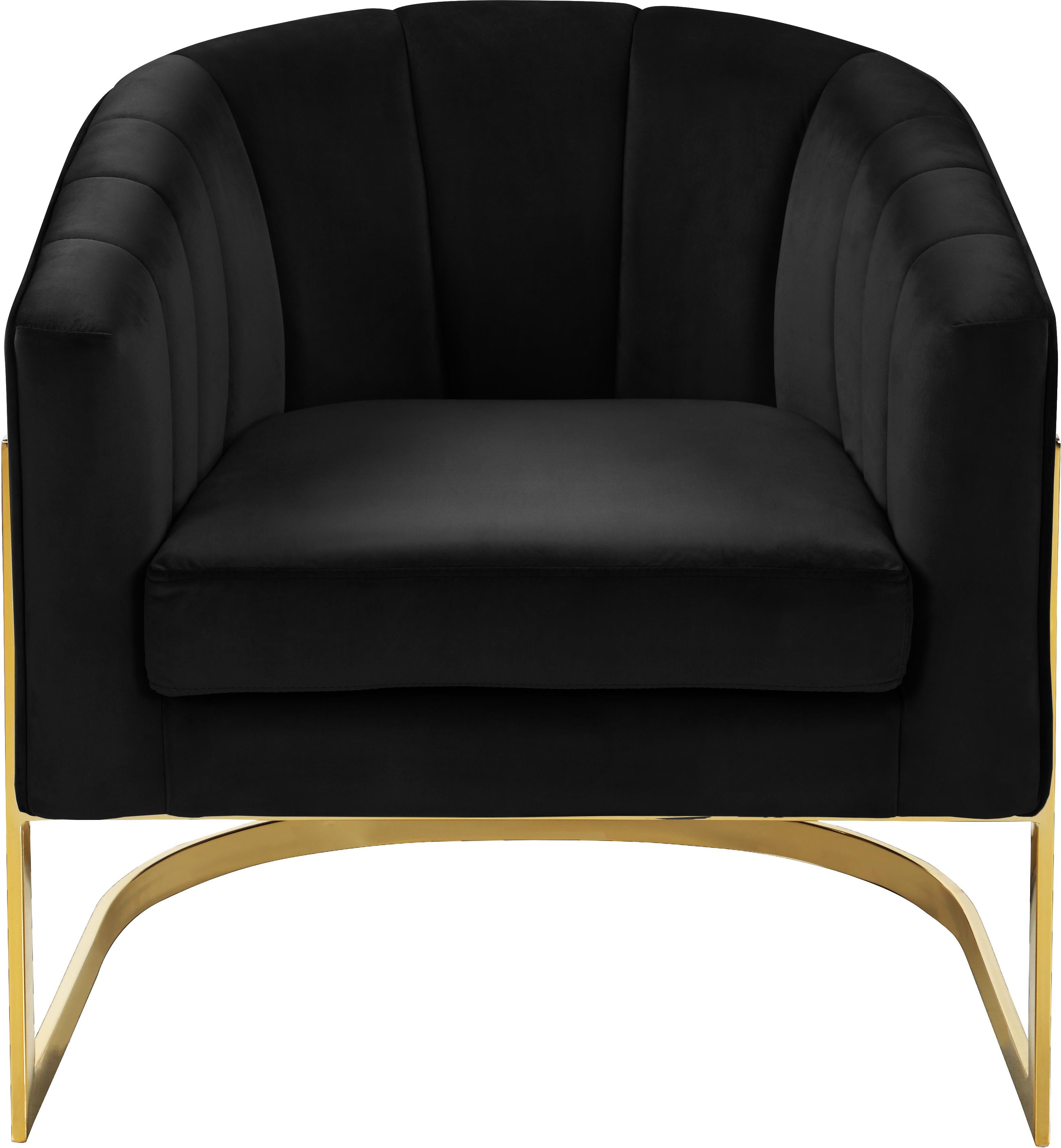 Carter Black Velvet Accent Chair - Luxury Home Furniture (MI)