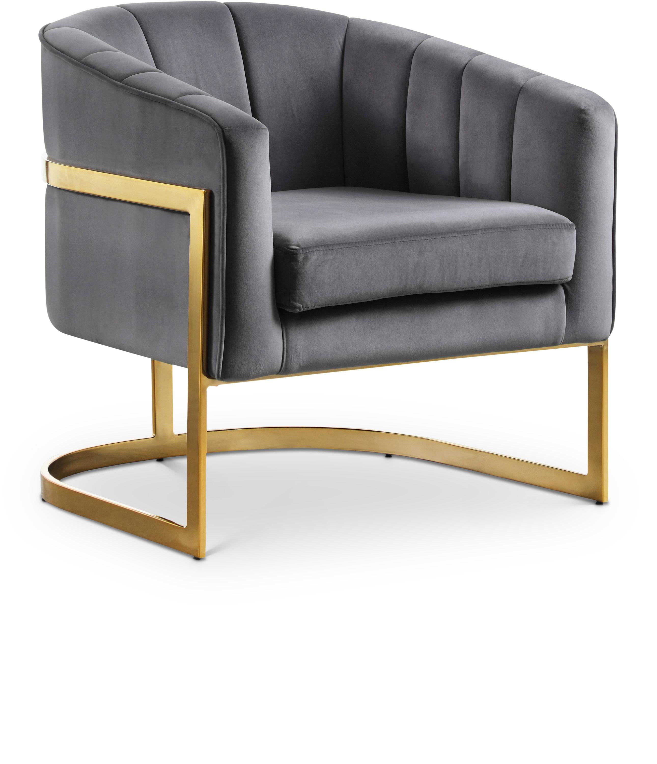 Carter Grey Velvet Accent Chair - Luxury Home Furniture (MI)