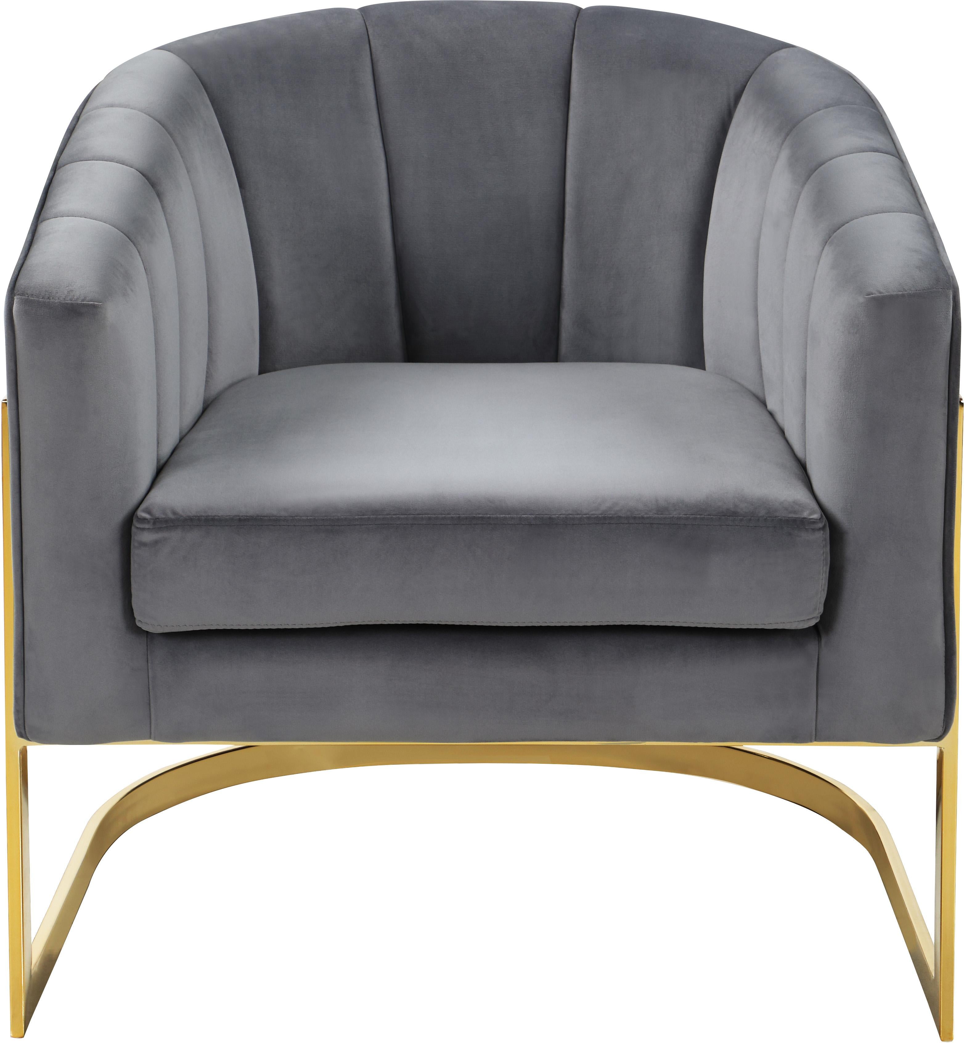 Carter Grey Velvet Accent Chair - Luxury Home Furniture (MI)