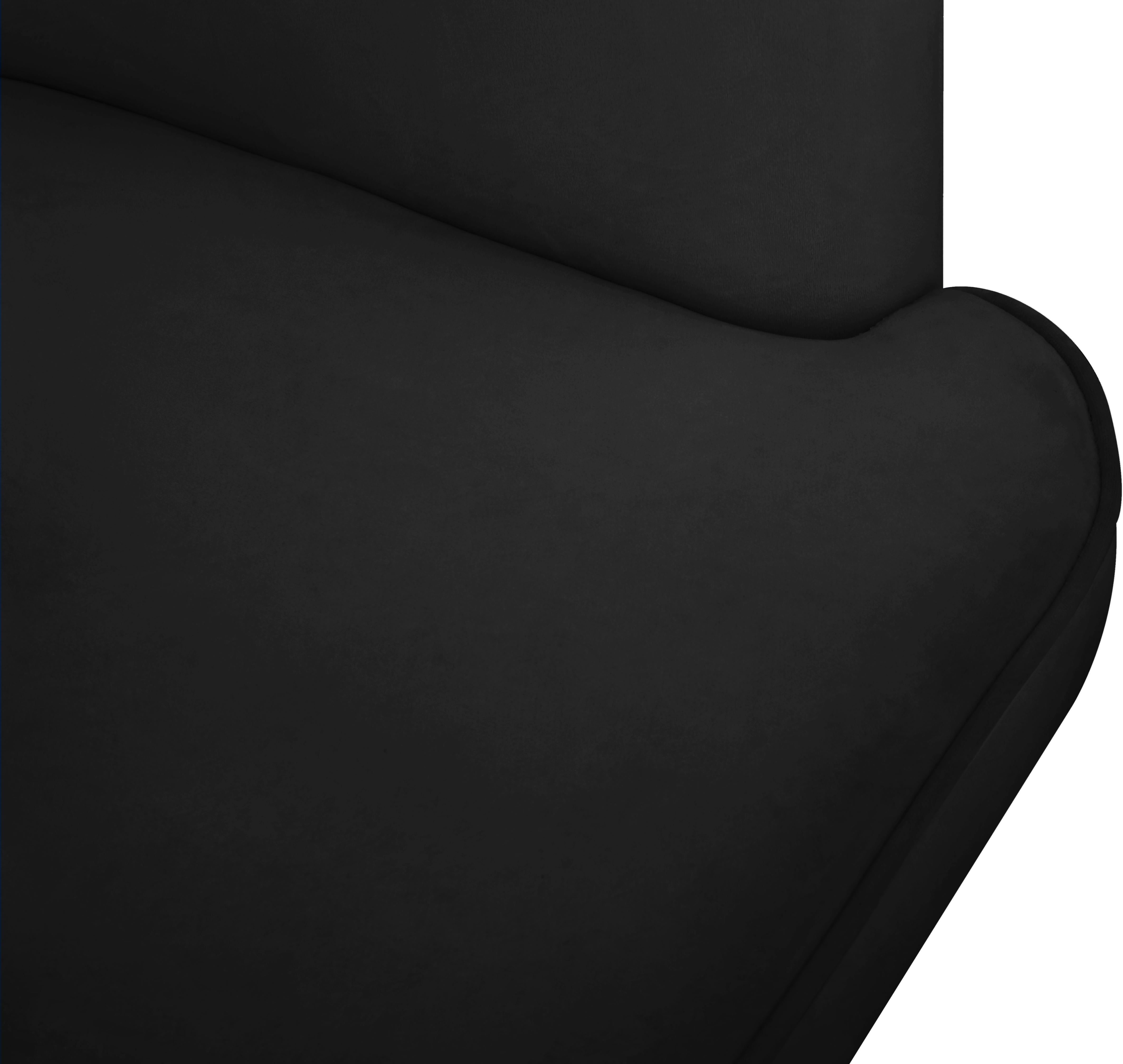 Rays Black Velvet Accent Chair - Luxury Home Furniture (MI)