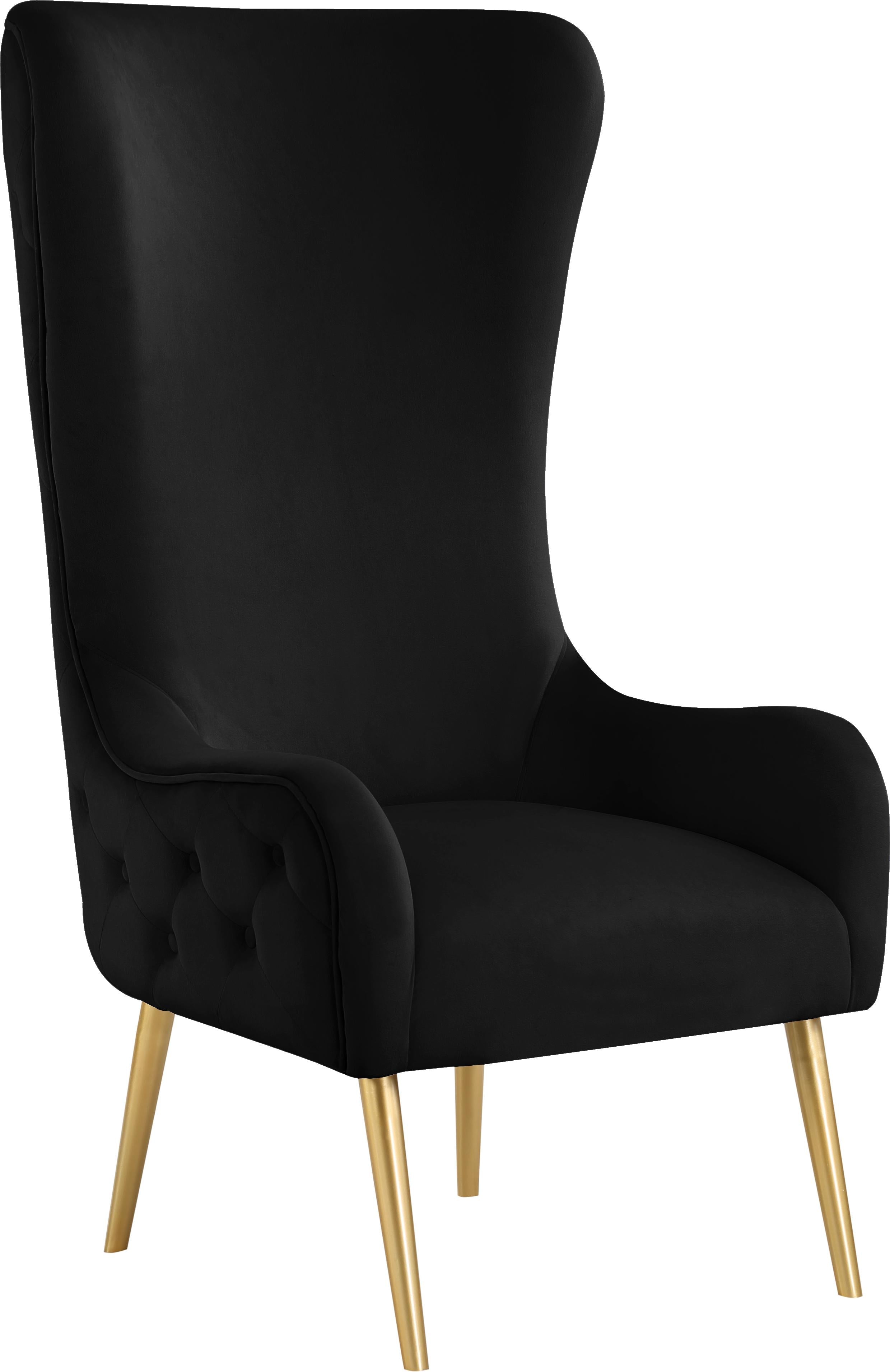 Alexander Black Velvet Accent Chair - Luxury Home Furniture (MI)