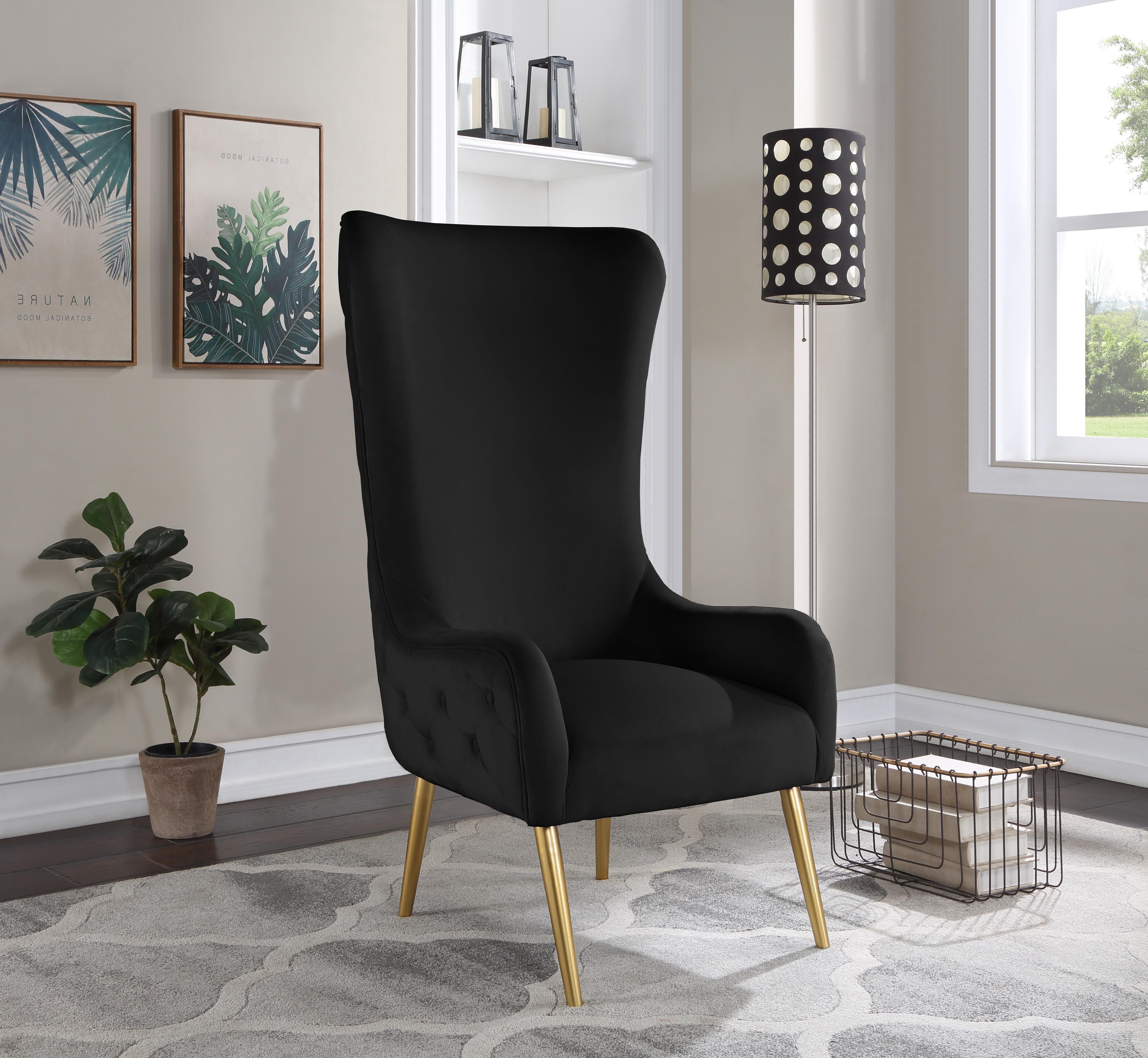 Alexander Black Velvet Accent Chair - Luxury Home Furniture (MI)