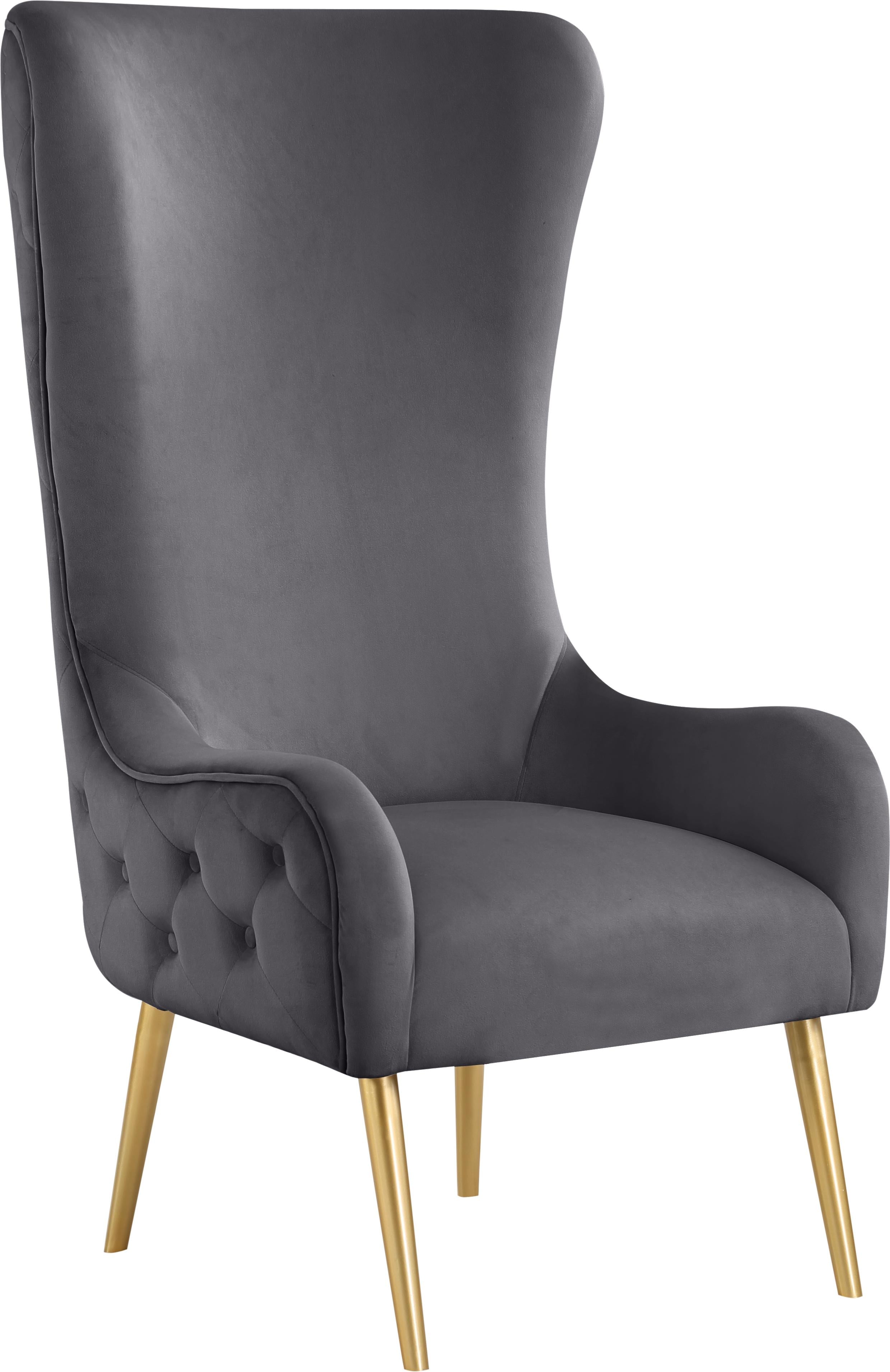 Alexander Grey Velvet Accent Chair - Luxury Home Furniture (MI)