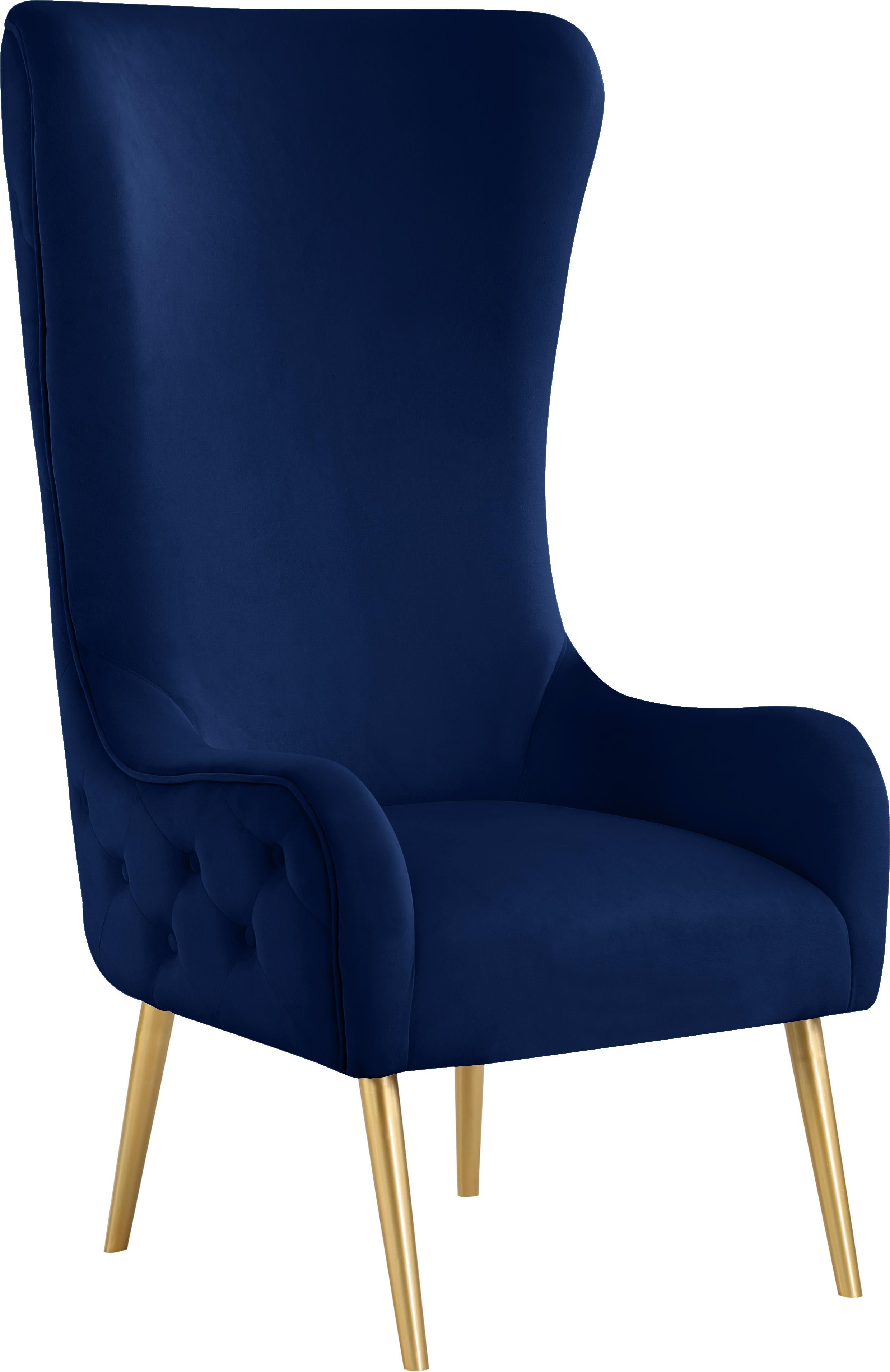 Alexander Navy Velvet Accent Chair - Luxury Home Furniture (MI)