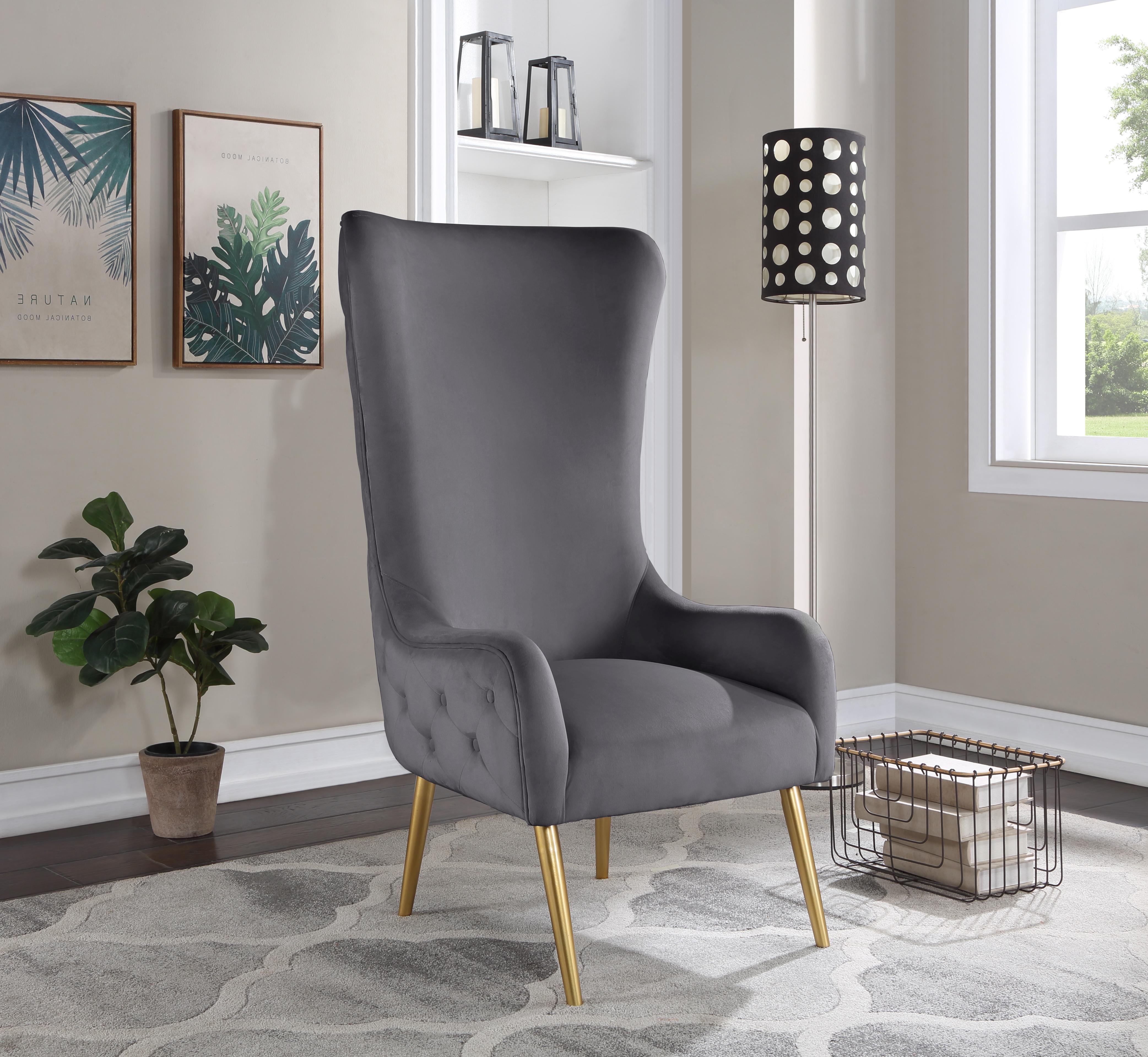 Alexander Grey Velvet Accent Chair - Luxury Home Furniture (MI)