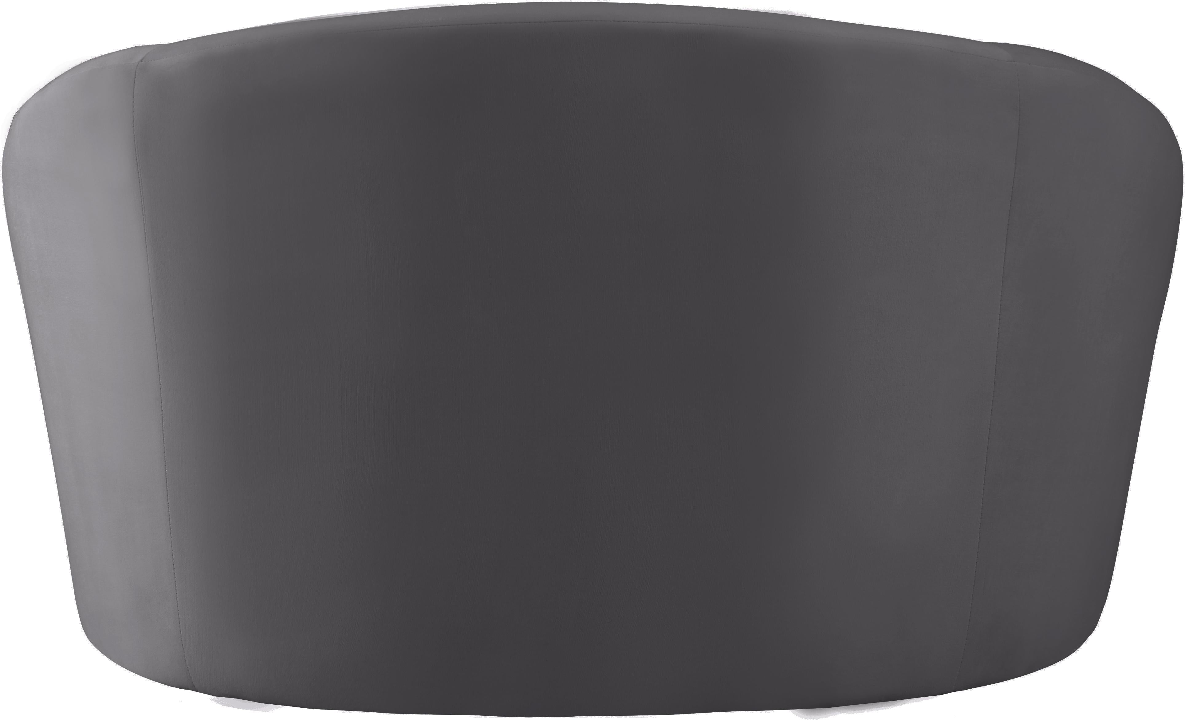 Riley Grey Velvet Chair - Luxury Home Furniture (MI)