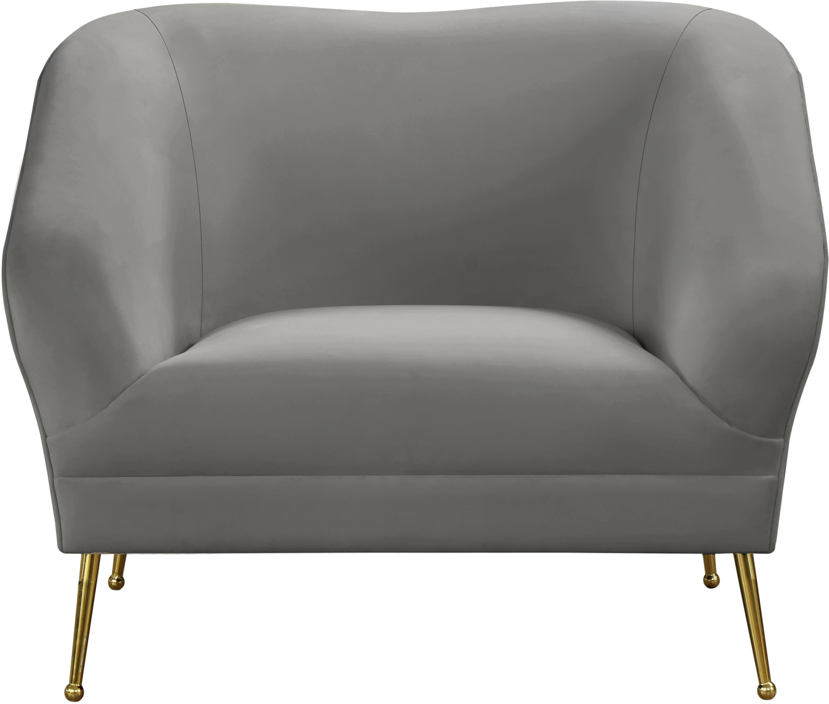 Hermosa Grey Velvet Chair - Luxury Home Furniture (MI)