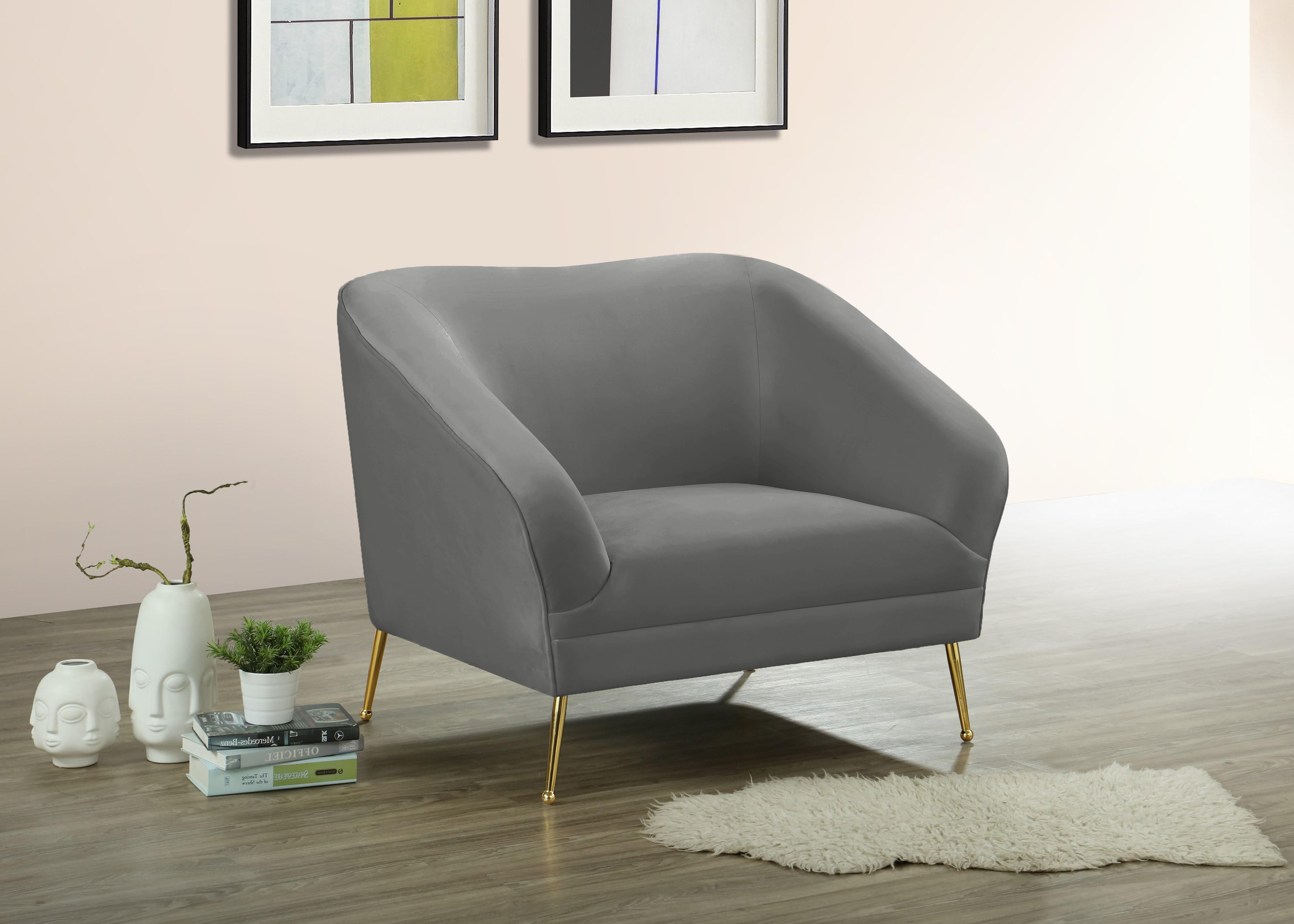 Hermosa Grey Velvet Chair - Luxury Home Furniture (MI)