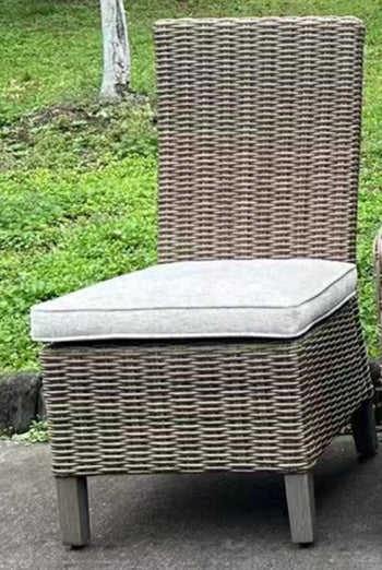 Laguna Heights Side Chair with Cushion (Set of 2) - Luxury Home Furniture (MI)