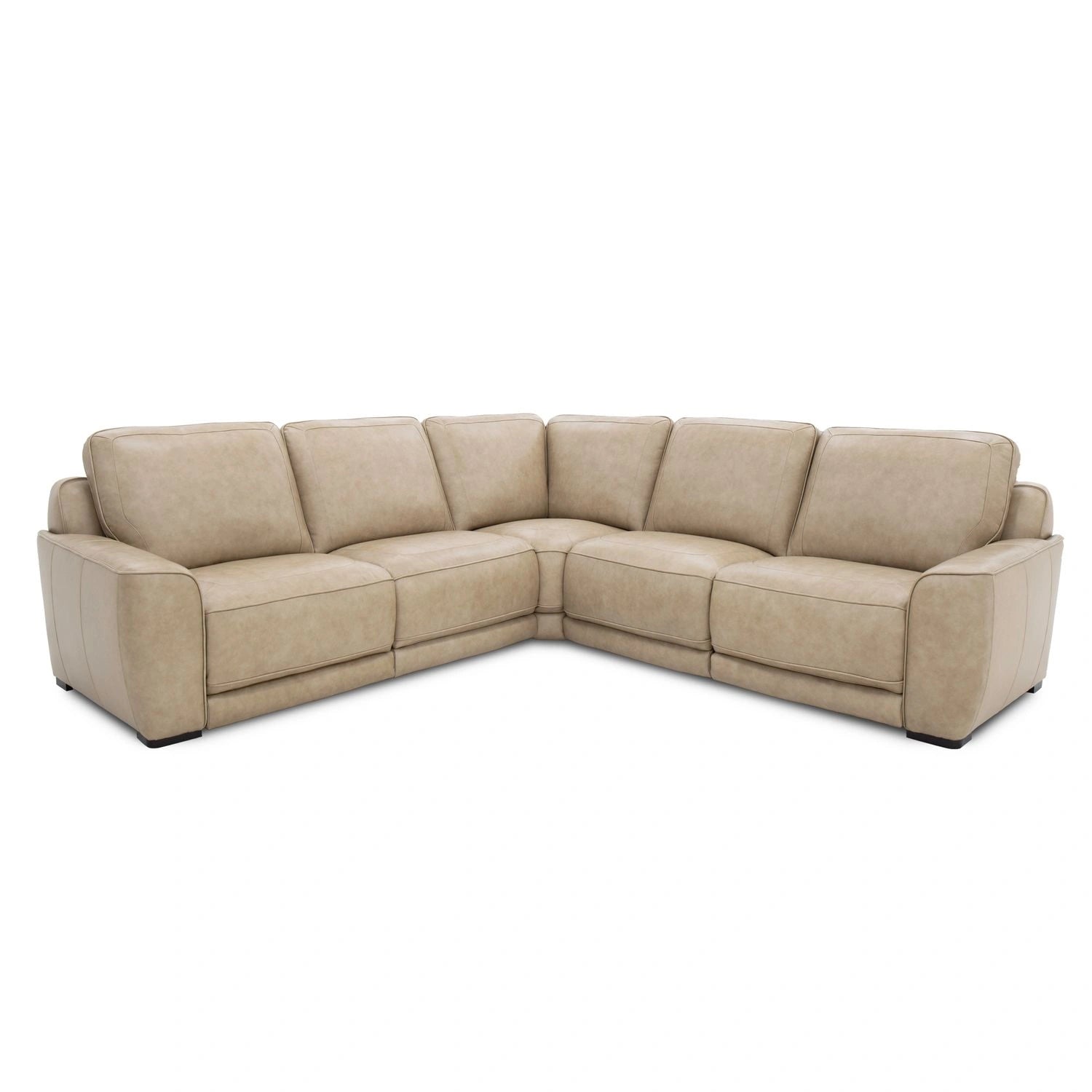Blake Sectional image
