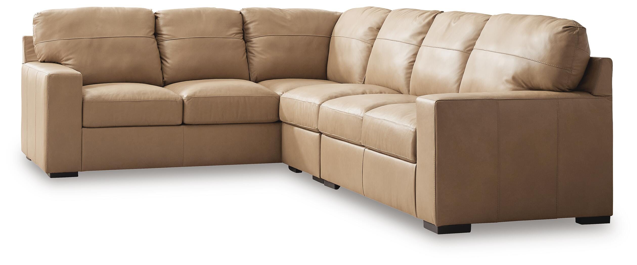 Bandon Sectional - Luxury Home Furniture (MI)