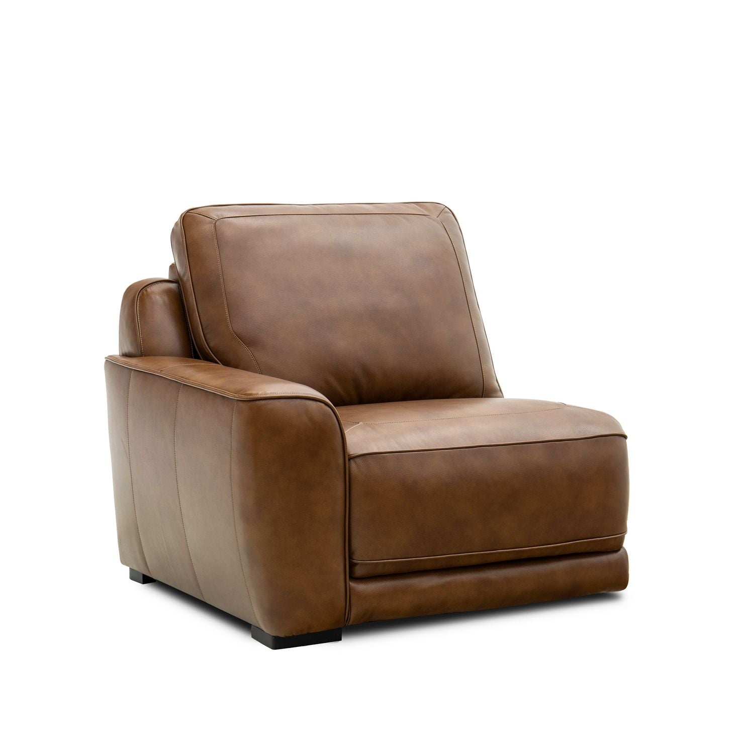 Blake L Arm Recliner P2 & ZW