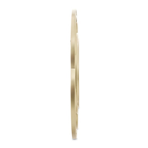 AICO Furniture Camellia Field Wall Mirror in Warm Pecan