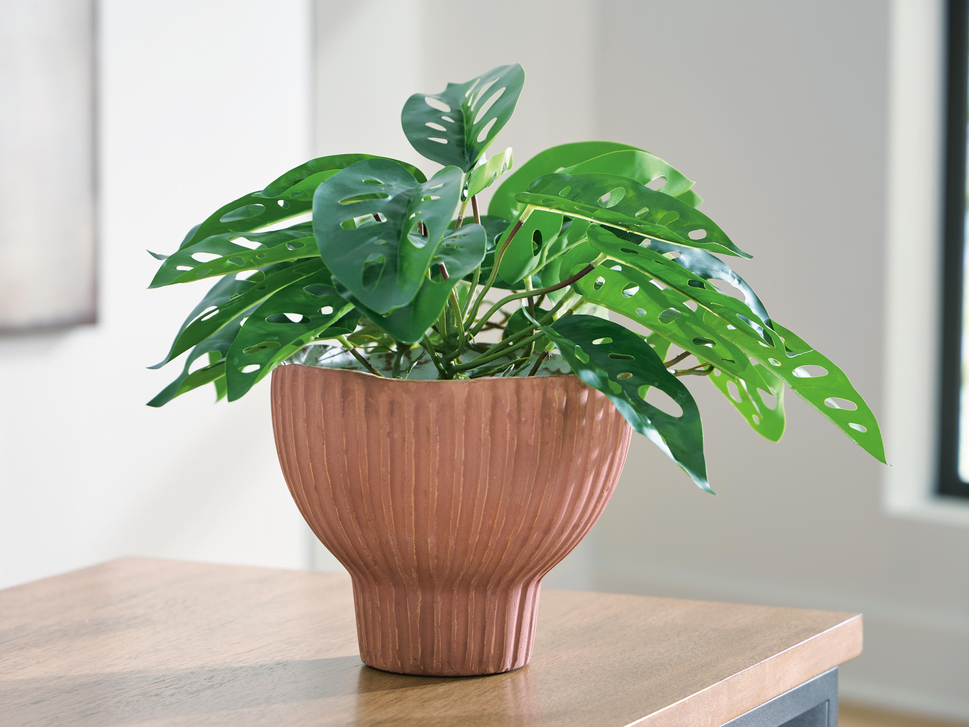 Orban Vase - Luxury Home Furniture (MI)