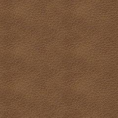 Bolsena Sofa - Luxury Home Furniture (MI)